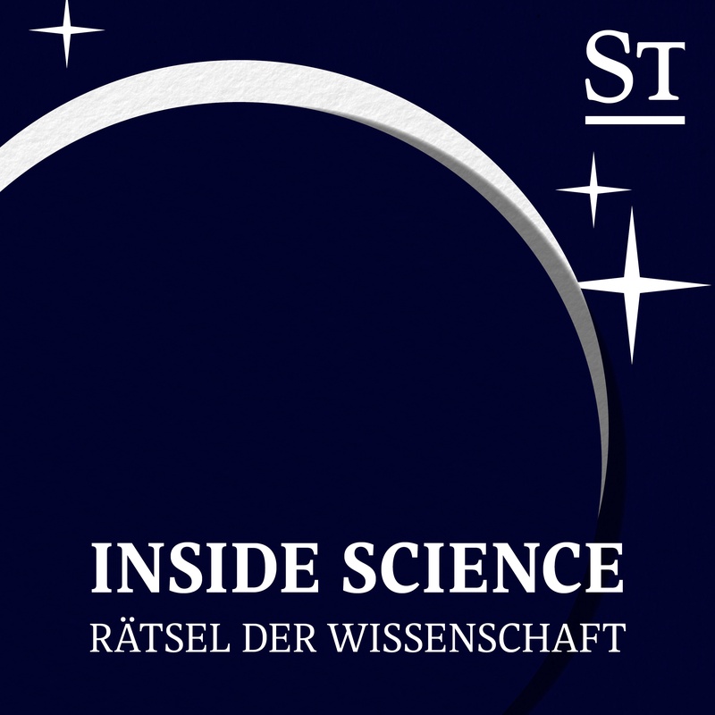 Was 6000 Jahre altes Eis aus den Alpen über Klima und Mensch verrät | Inside Science Was 6000 Jahre altes Eis aus den Alpen über Klima und Mensch verrät | Inside Science