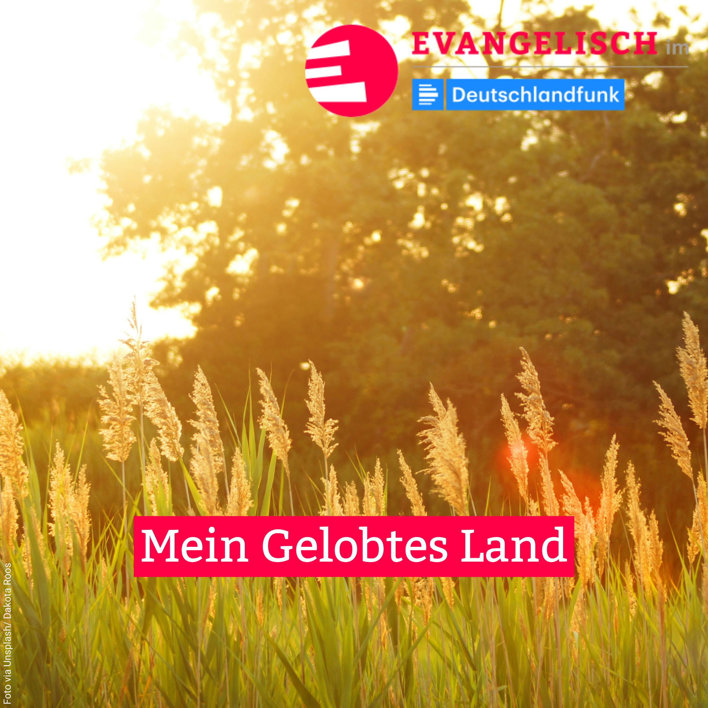 Mein Gelobtes Land