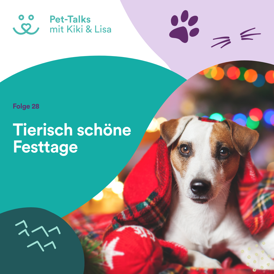 Pet-Talks mit Kiki & Lisa - der Hunde-Podcast von DeineTierwelt