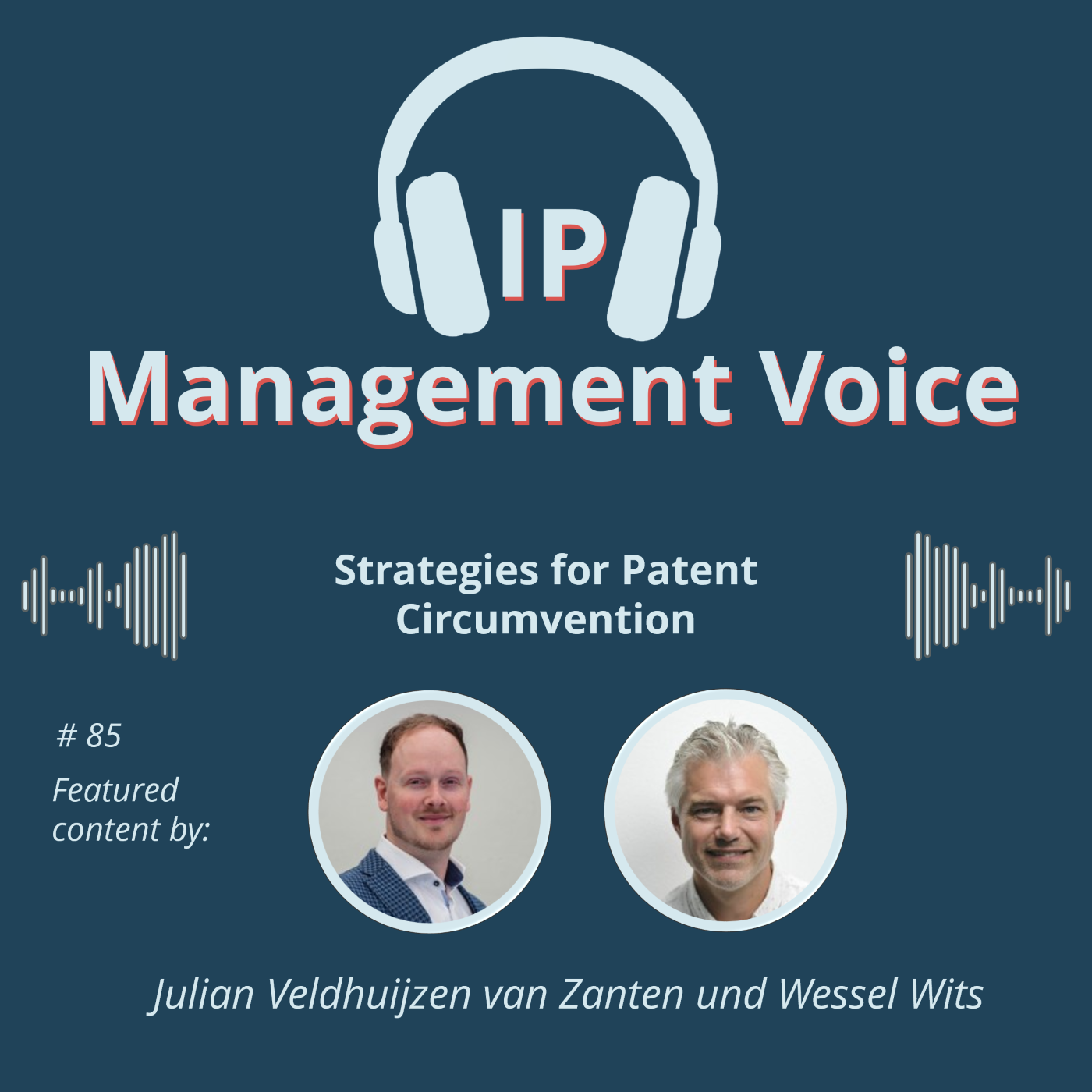 #85 Strategies for Patent Circumvention