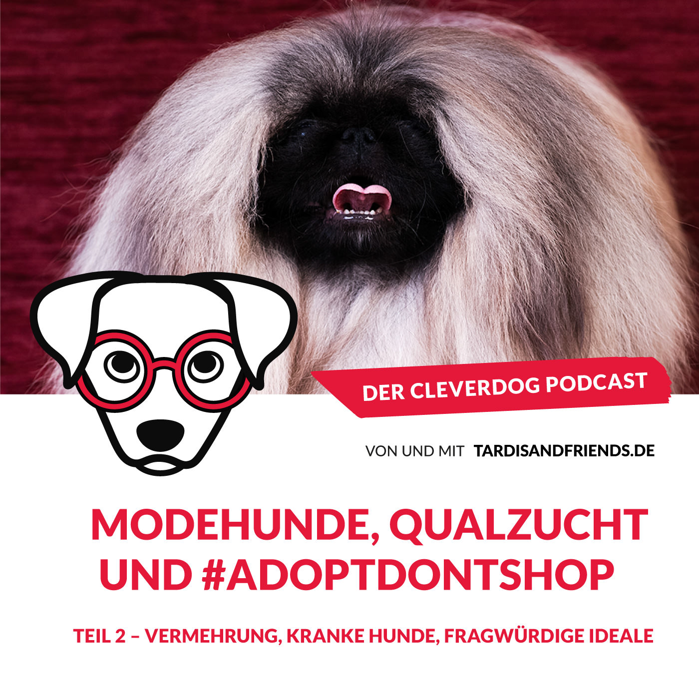 Der Cleverdog Podcast – mehr Wissen rund um den Hund!
