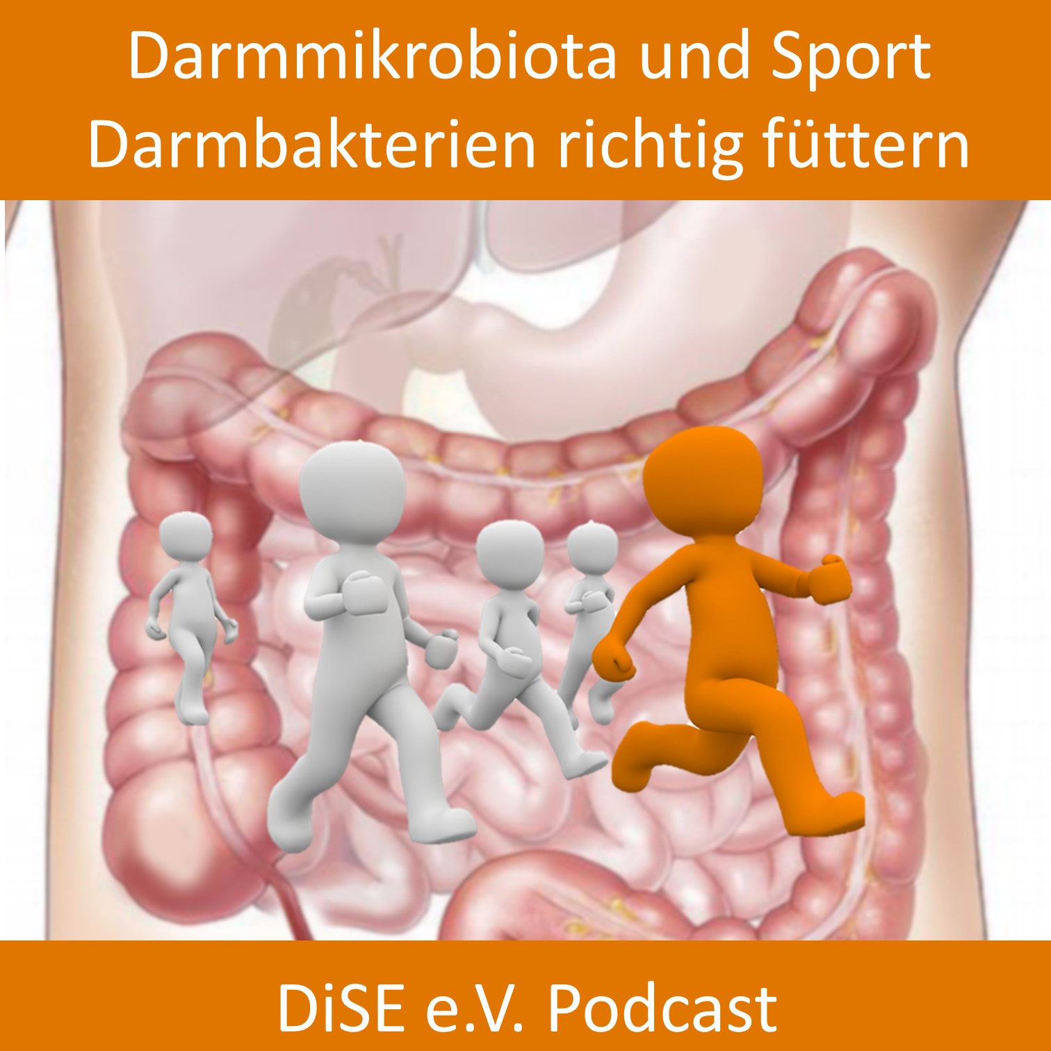 Deutsches Institut für Sporternährung e.V. (DiSE) Podcast