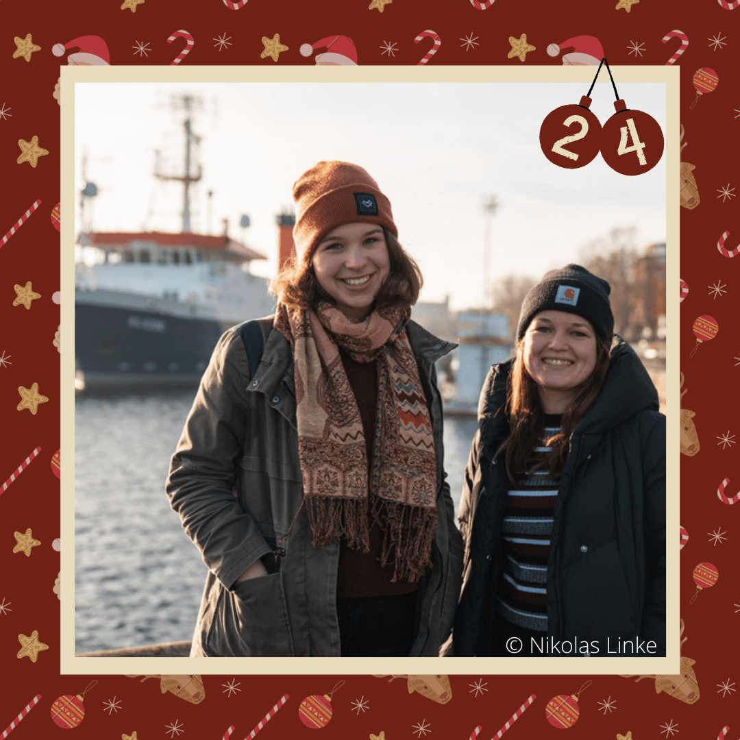 #diedreimjf - Adventskalender 2020 Türchen 24: Meeresbiolog*in episode artwork