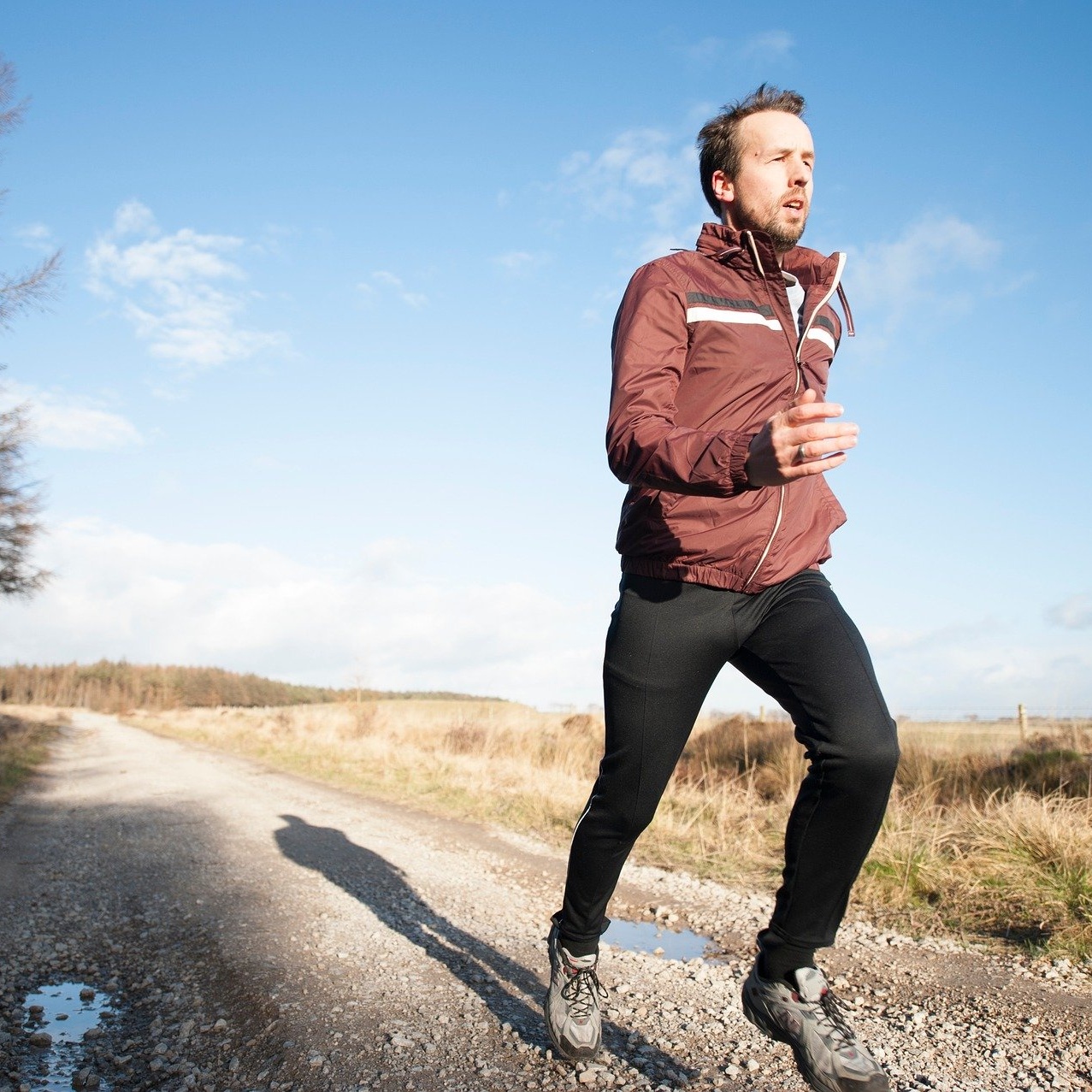 Spindgespräche  - Der SportMedizin-Podcast