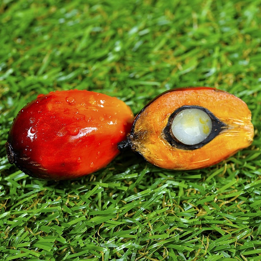 Kurzwelle - das Kindermagazin von Radio Feierwerk