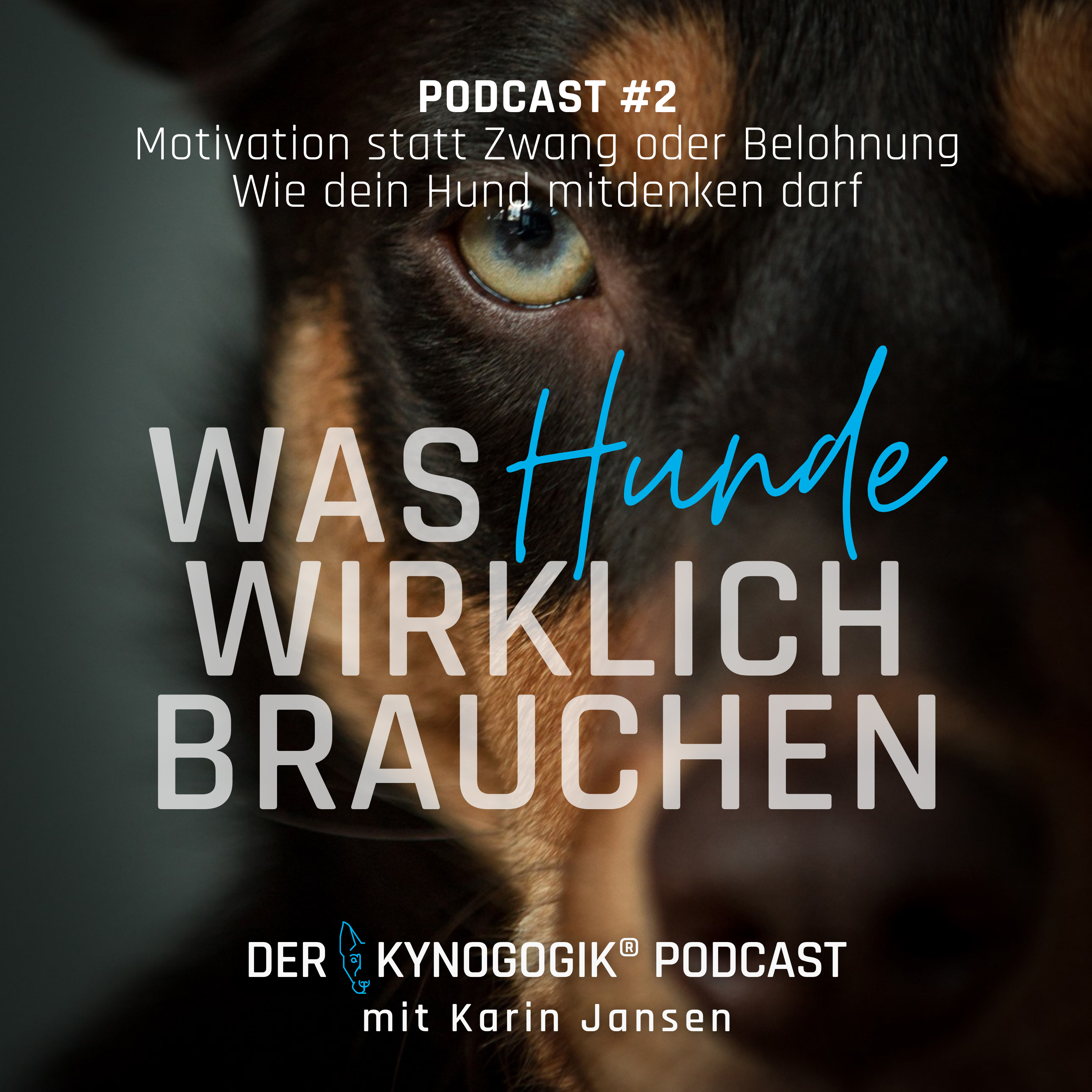 Motivation statt Zwang oder Belohnung episode artwork