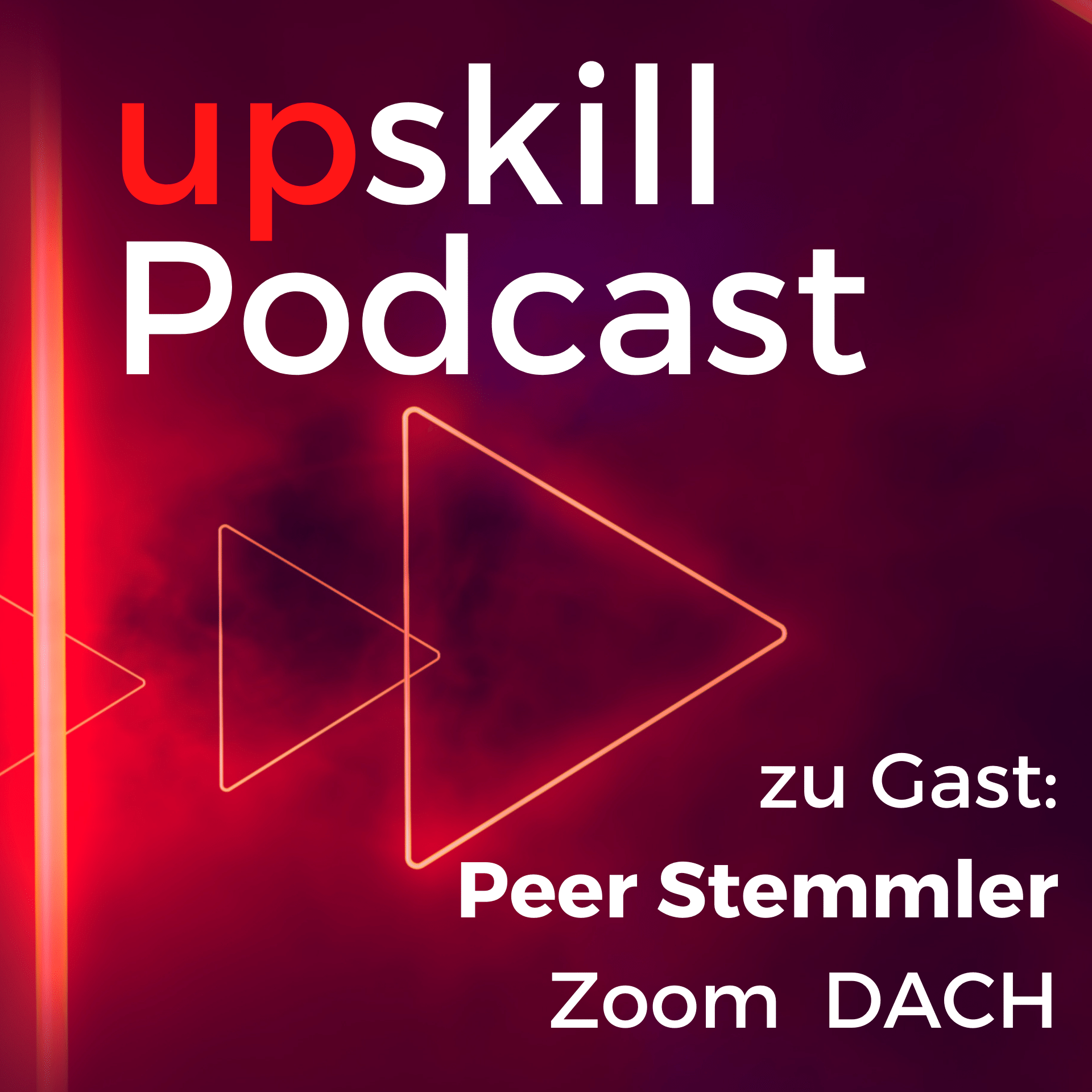 Zoom Chef Peer Stemmler zur Zukunft der digitalen Bildung episode artwork