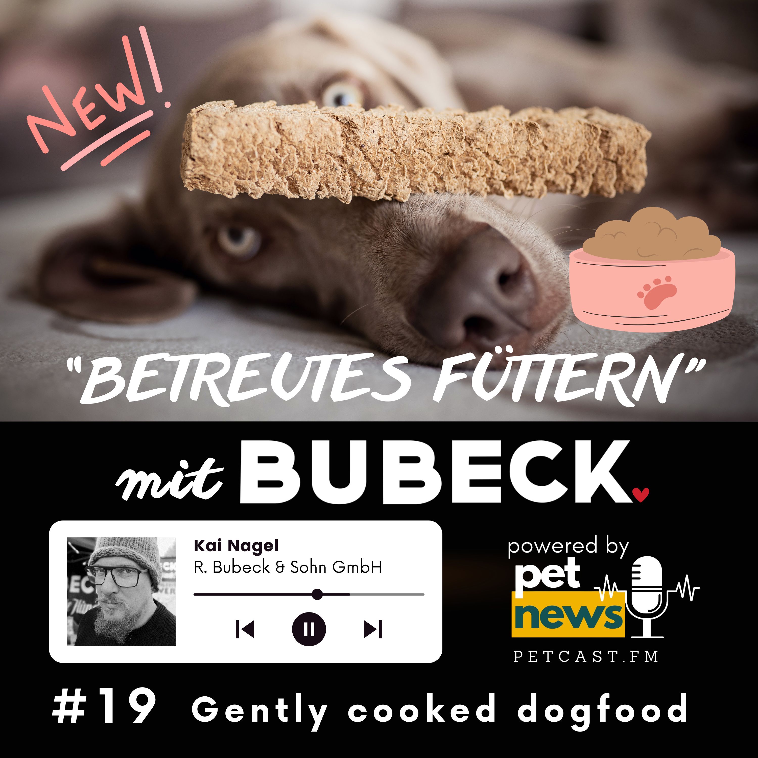 Betreutes Füttern mit Bubeck - Die älteste Hundefuttermanufaktur von 1893