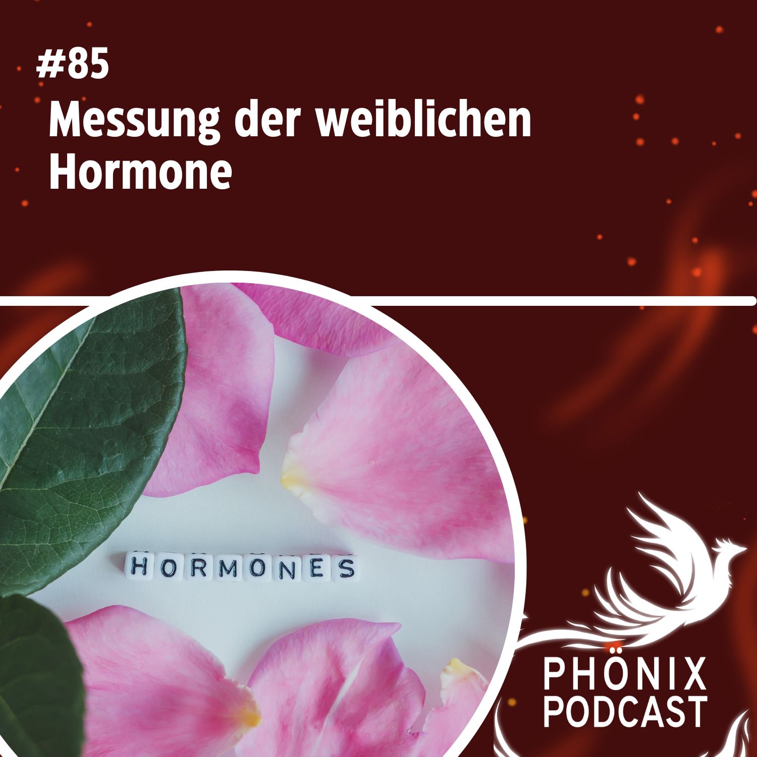 Messung der weiblichen Hormone #85 - podcast episode cover