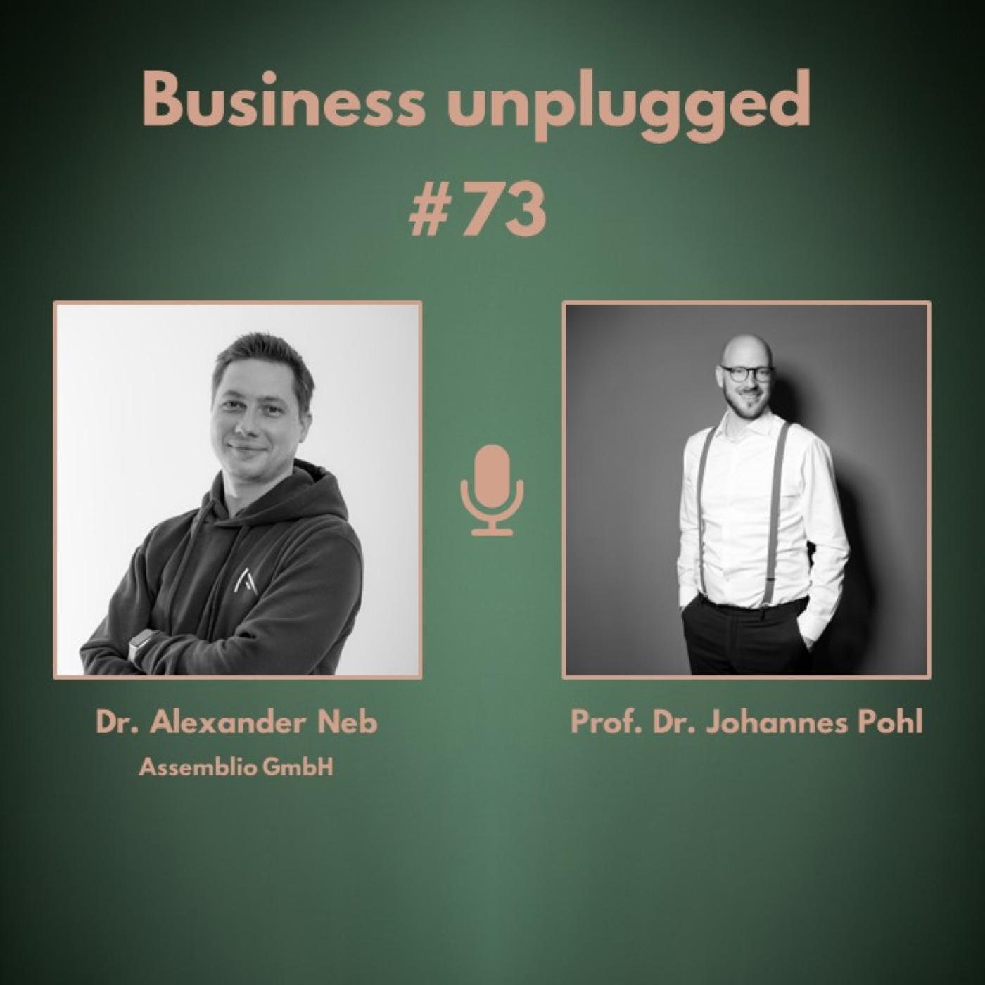 Business unplugged - Menschen, Unternehmen und Aspekte der Digitalisierung