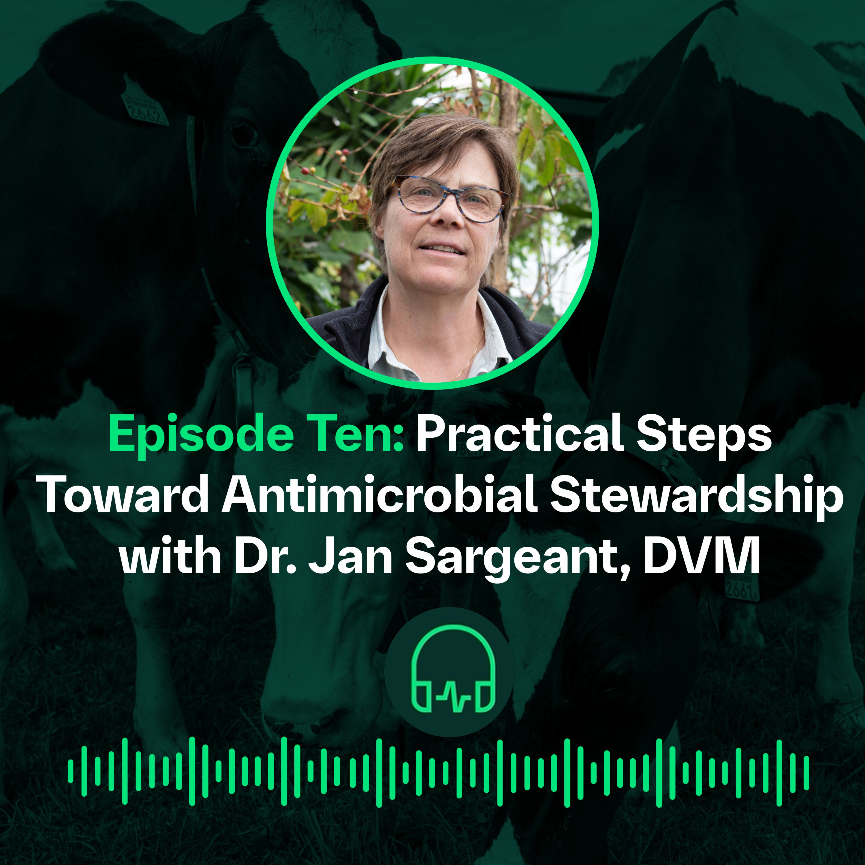 The Herd Health Podcast