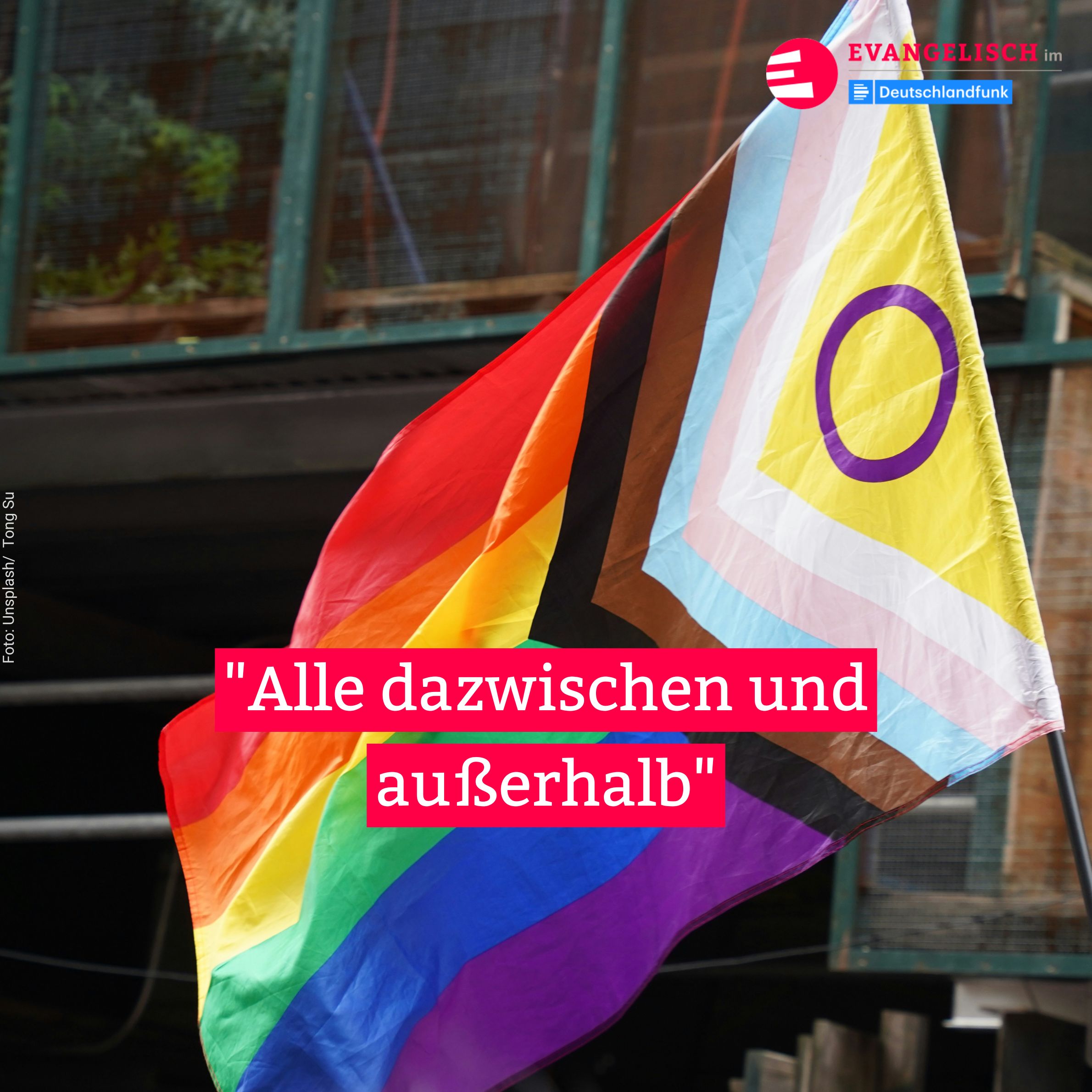 "Alle dazwischen und außerhalb"