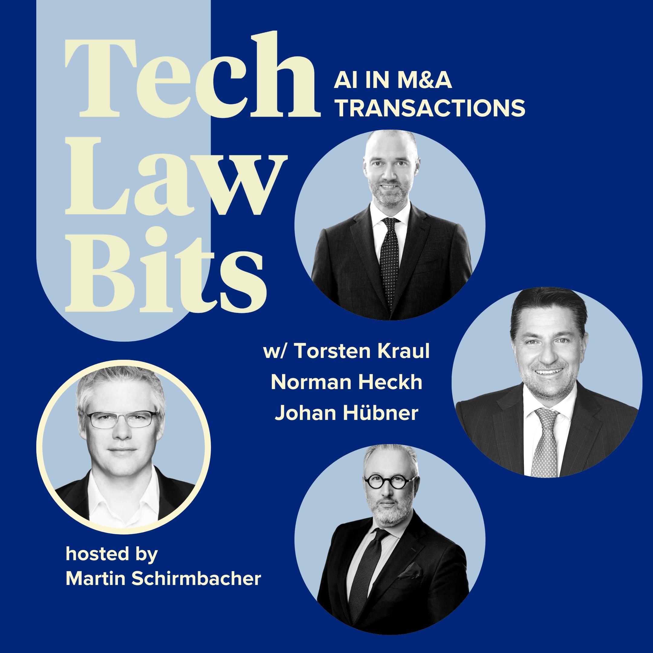 Tech Law Bits