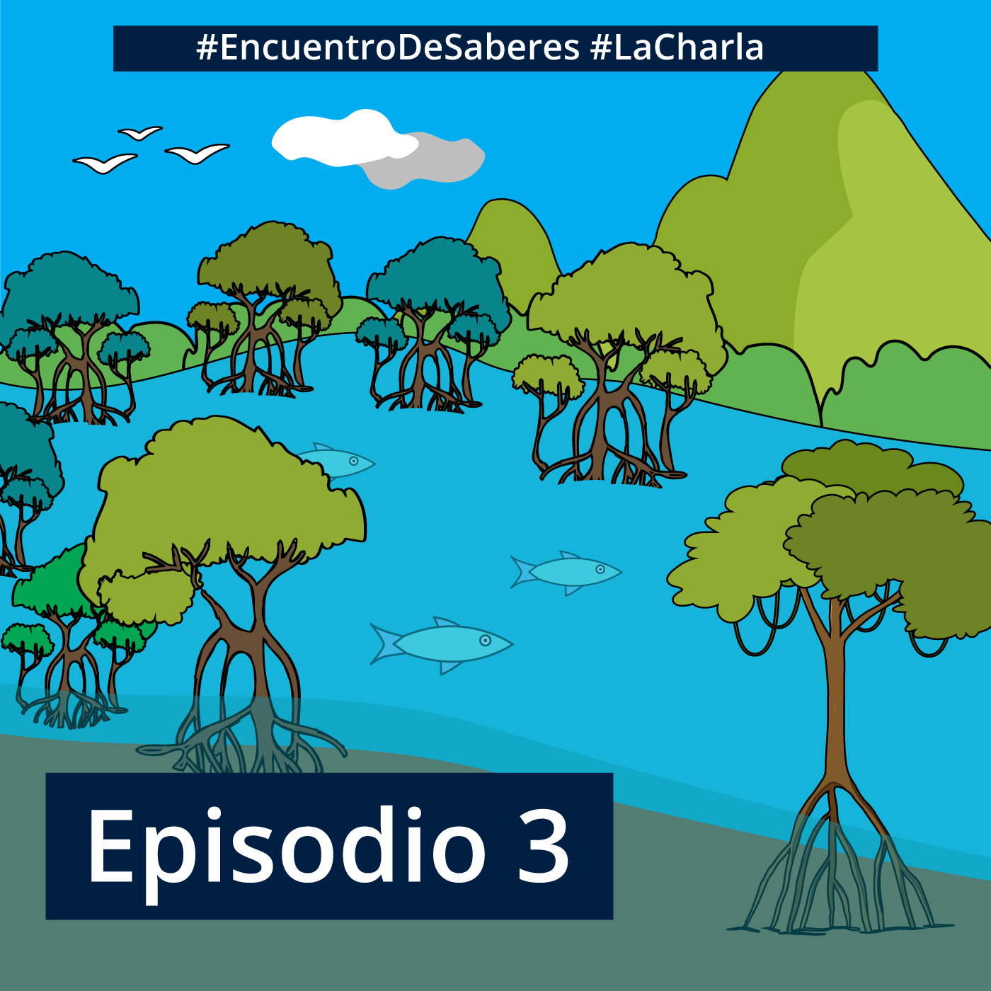 Ciudades y Transporte Sustentable