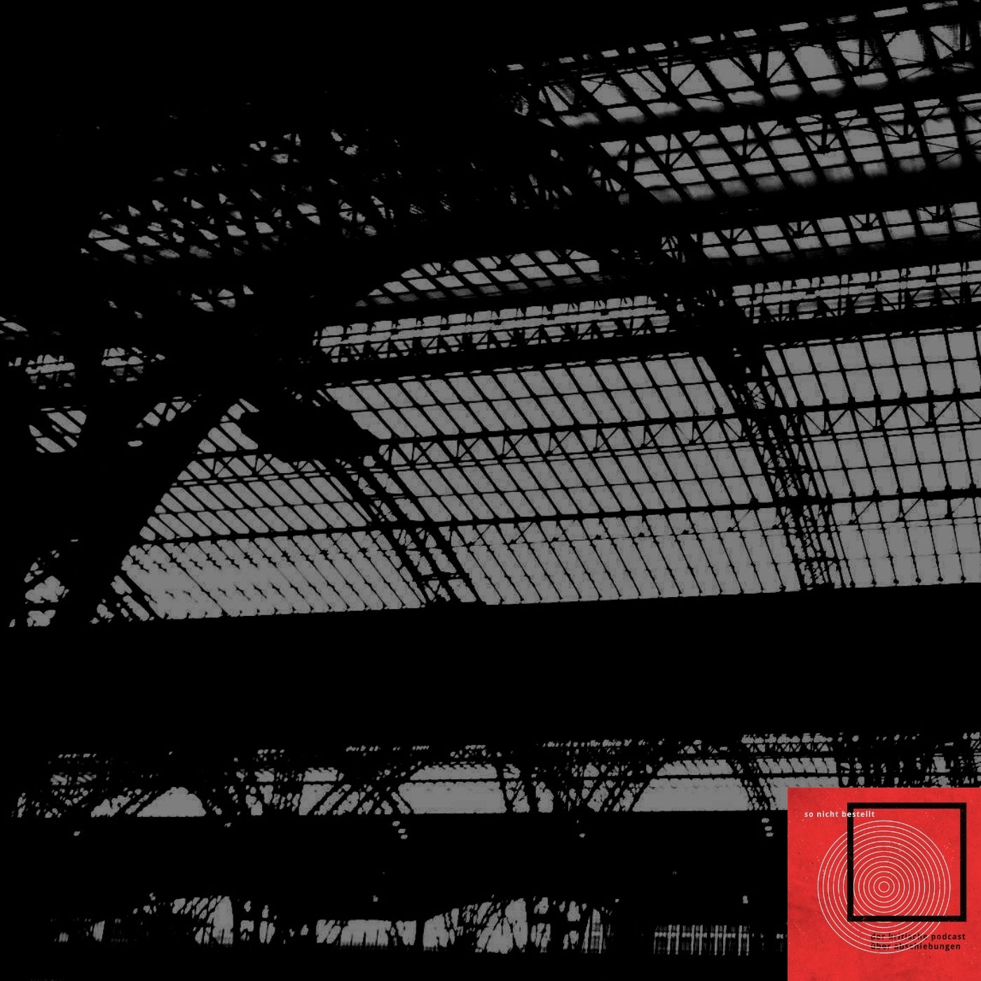 So Nicht Bestellt - der kritische Podcast zum Thema Abschiebung