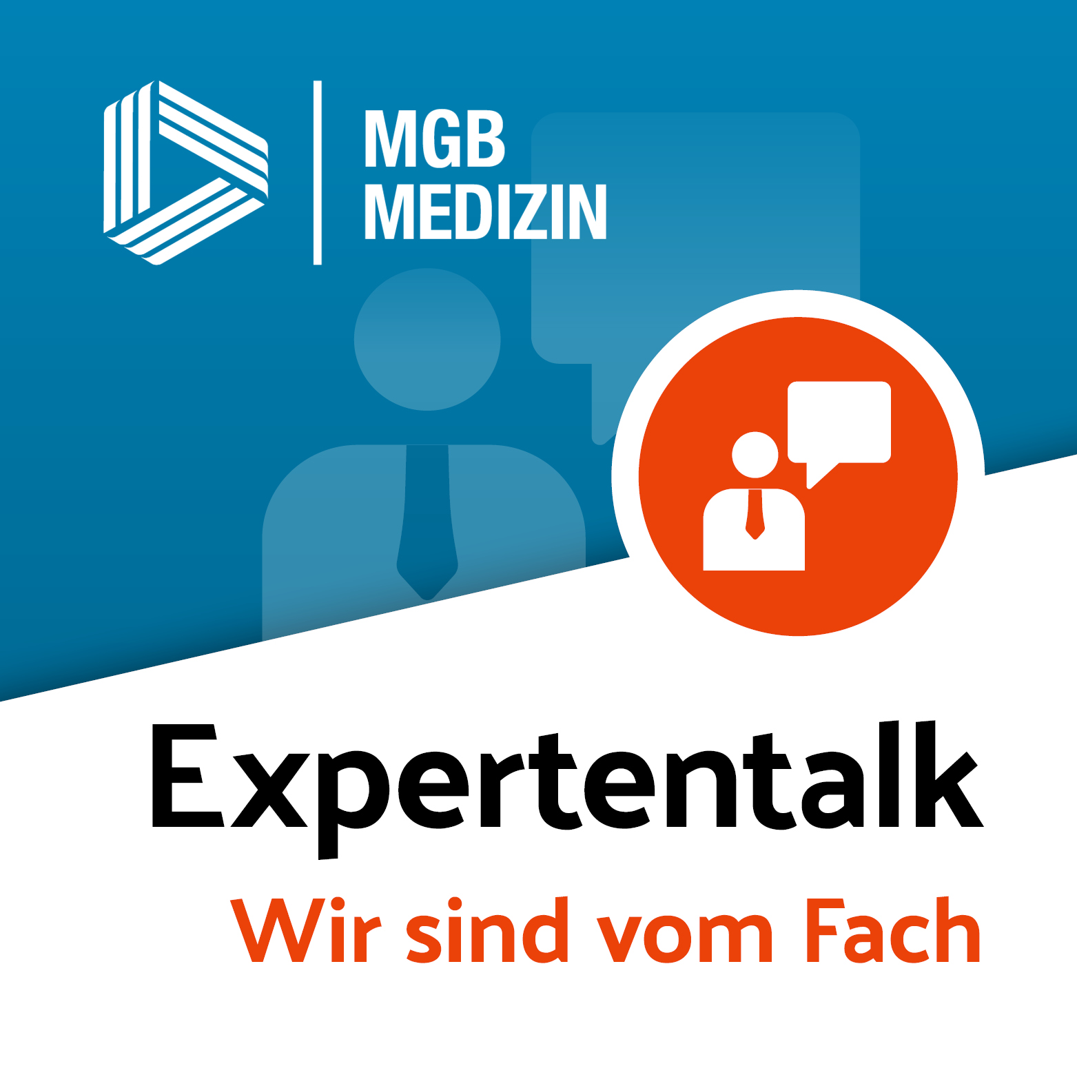 Geburtshilfe in Deutschland: Geburtenregister, Patientensicherheit & neue AGG-Leitung | Expertentalk episode artwork