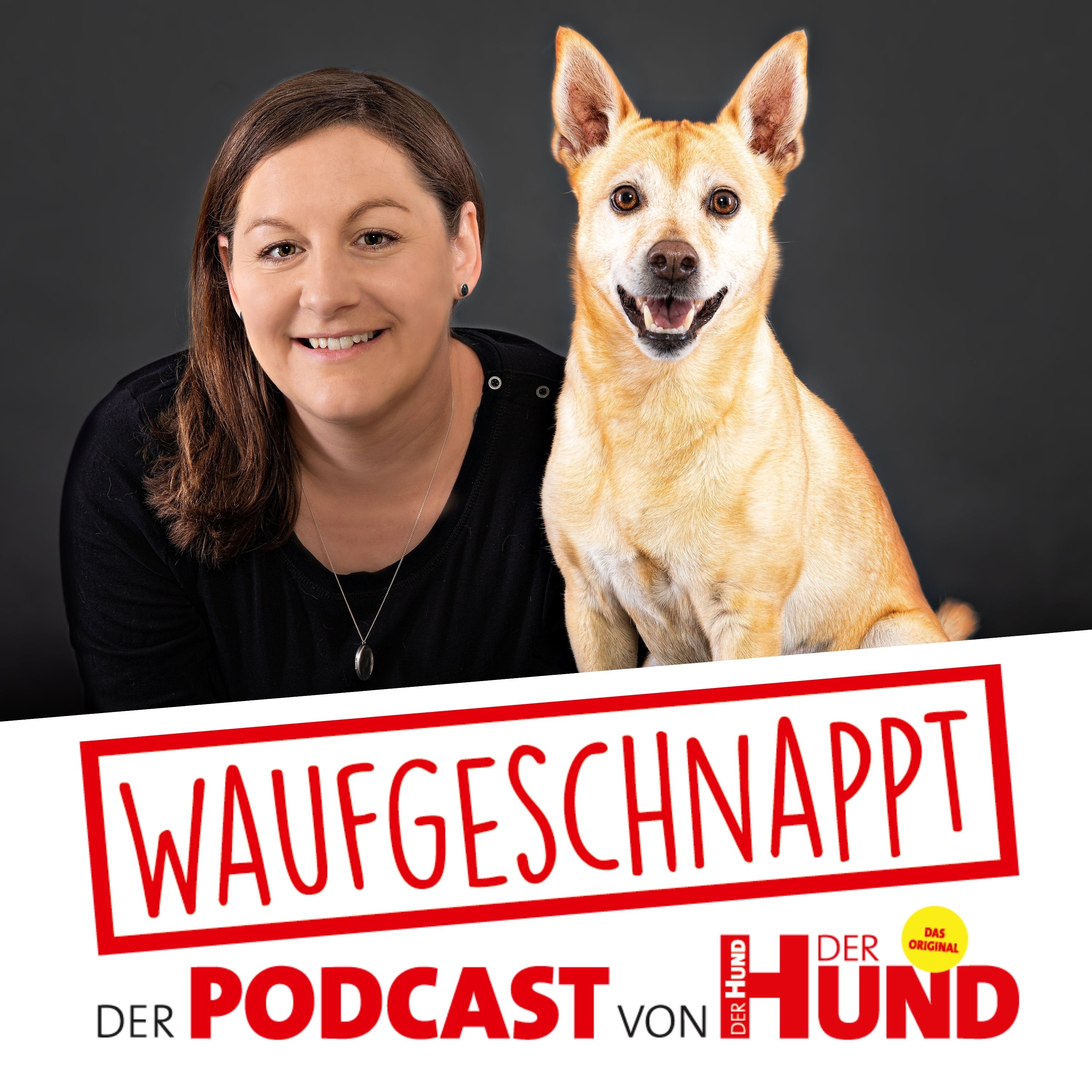 Waufgeschnappt - der Podcast von DER HUND