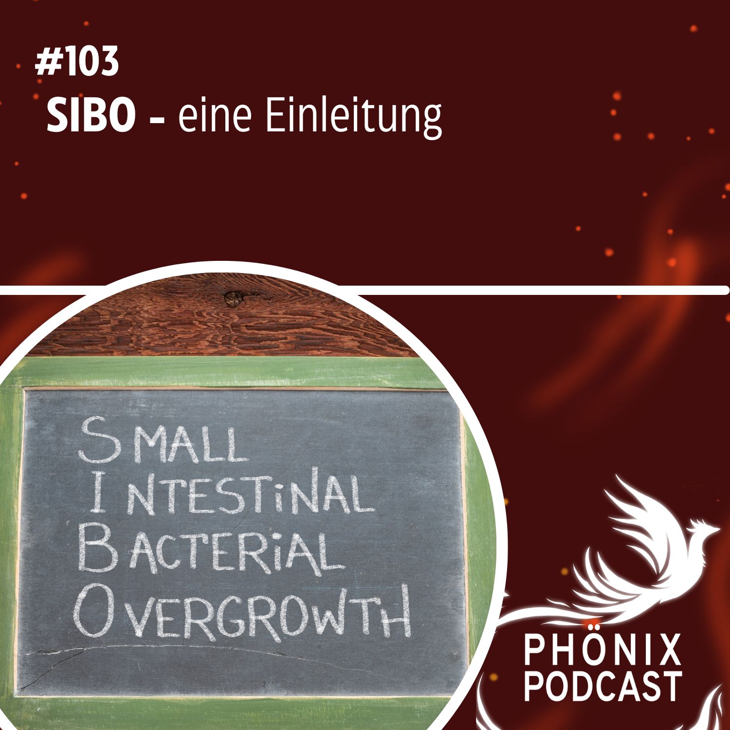 SIBO - eine Einleitung #103 - podcast episode cover