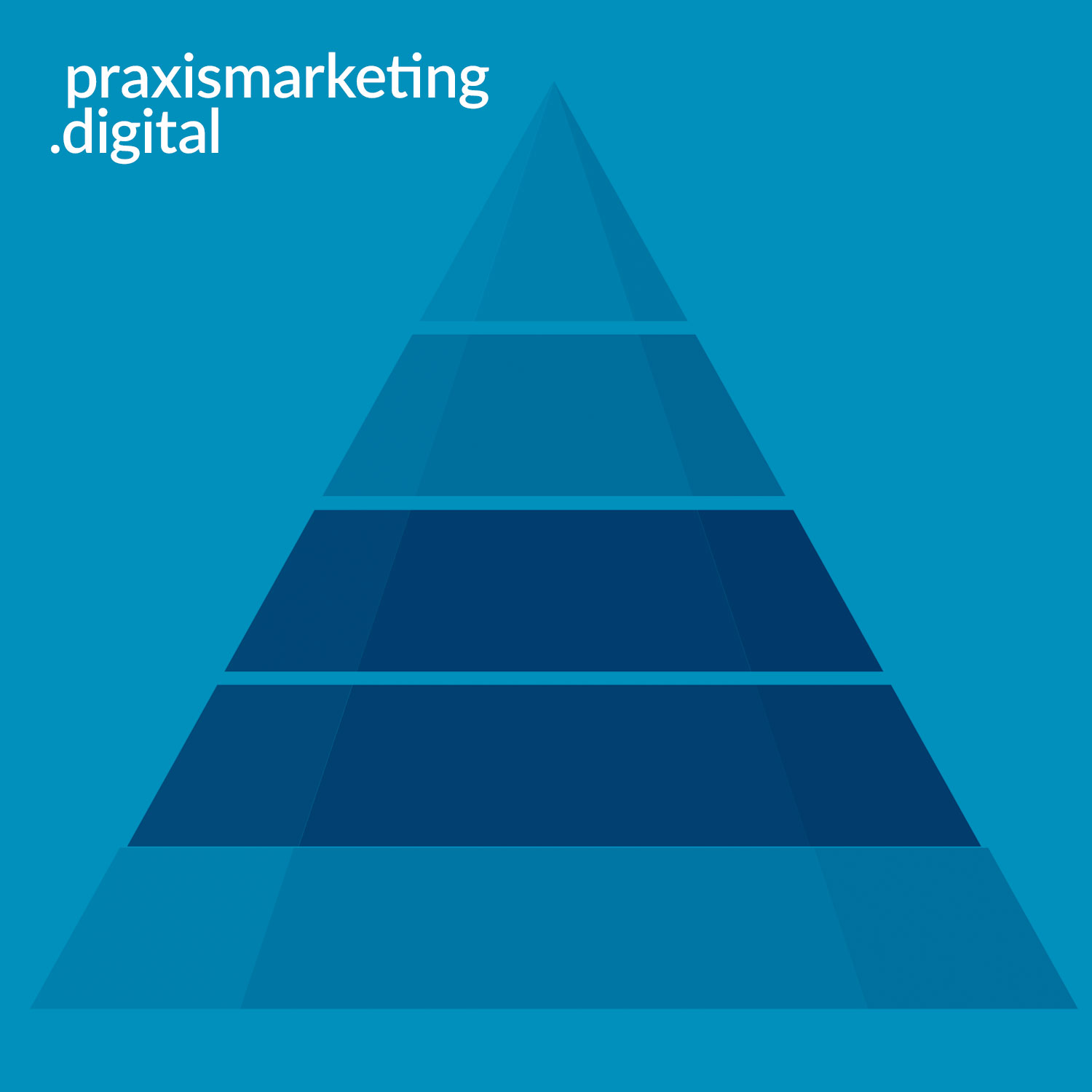 praxismarketing.digital