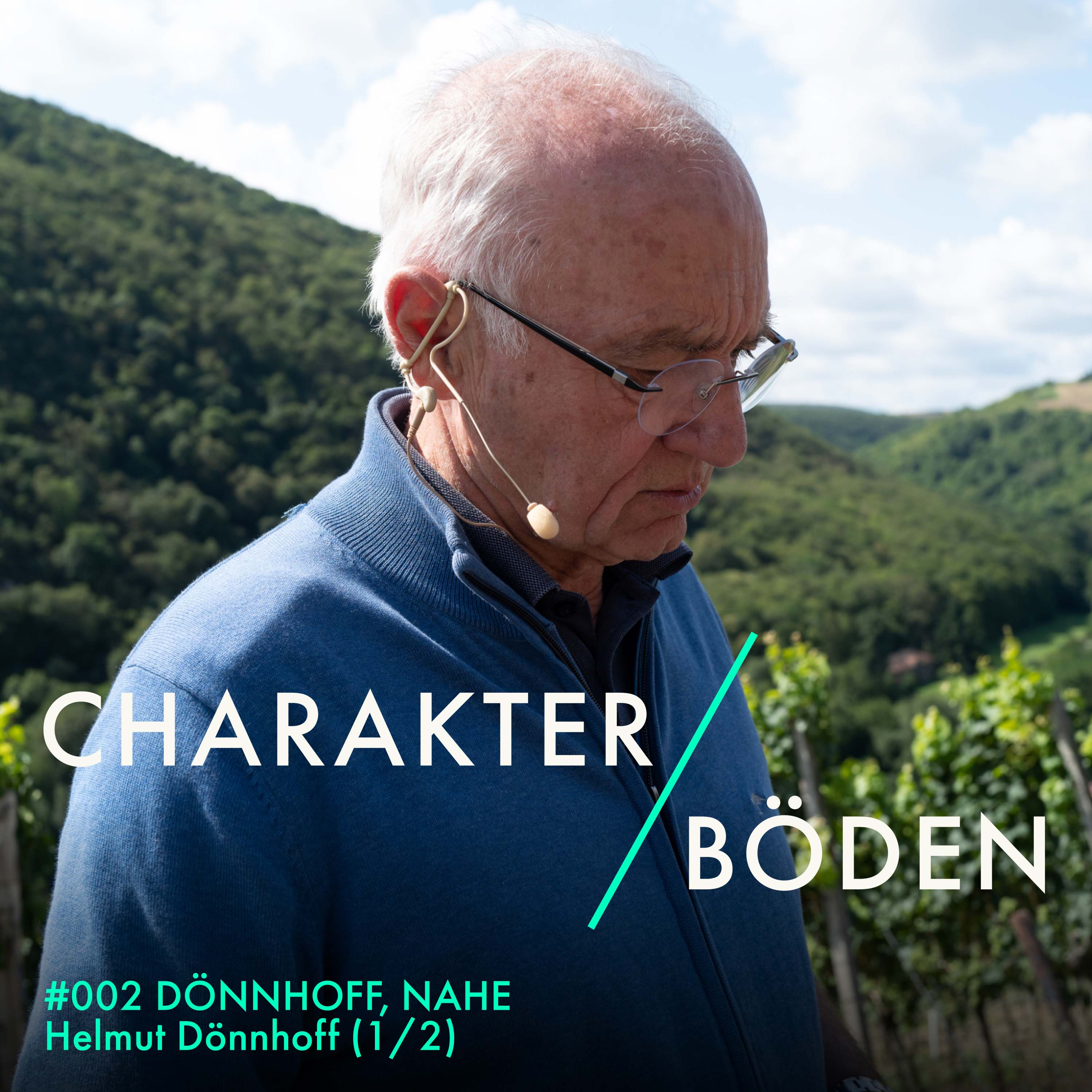 Charakter / Böden - Was großen Wein ausmacht