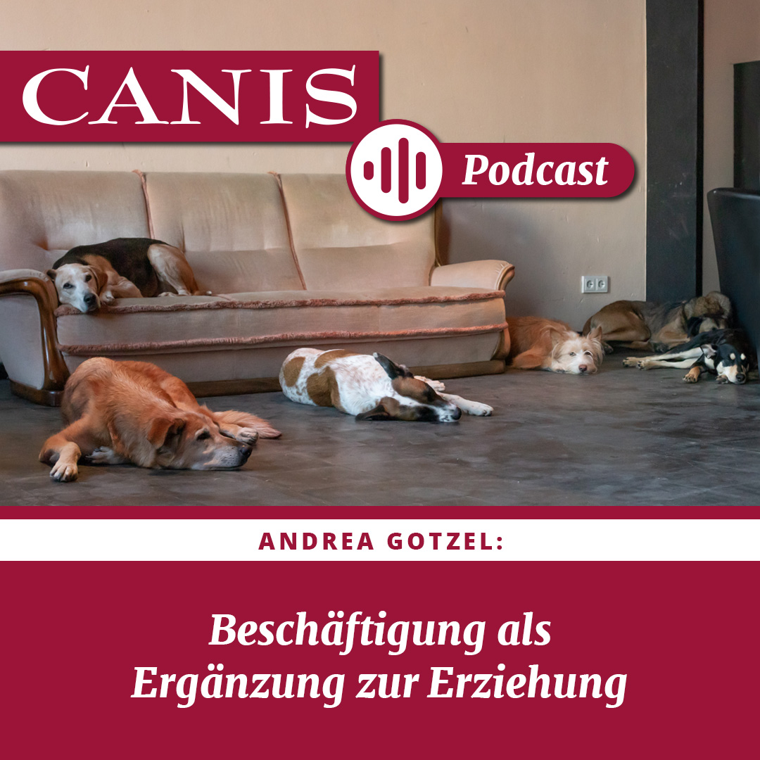 Der CANIS-Podcast – Hundeexpert:innen ausgefragt