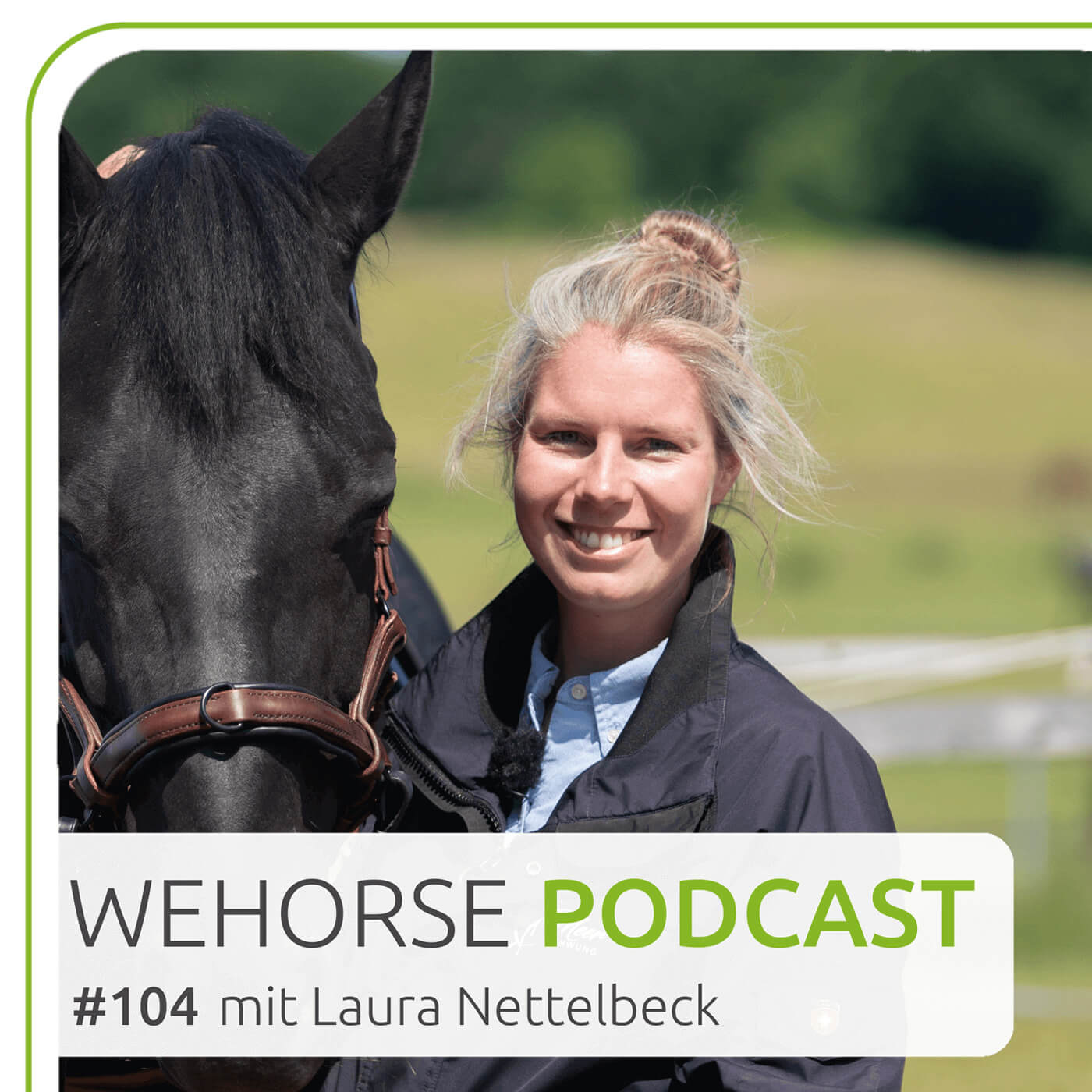 wehorse Podcast