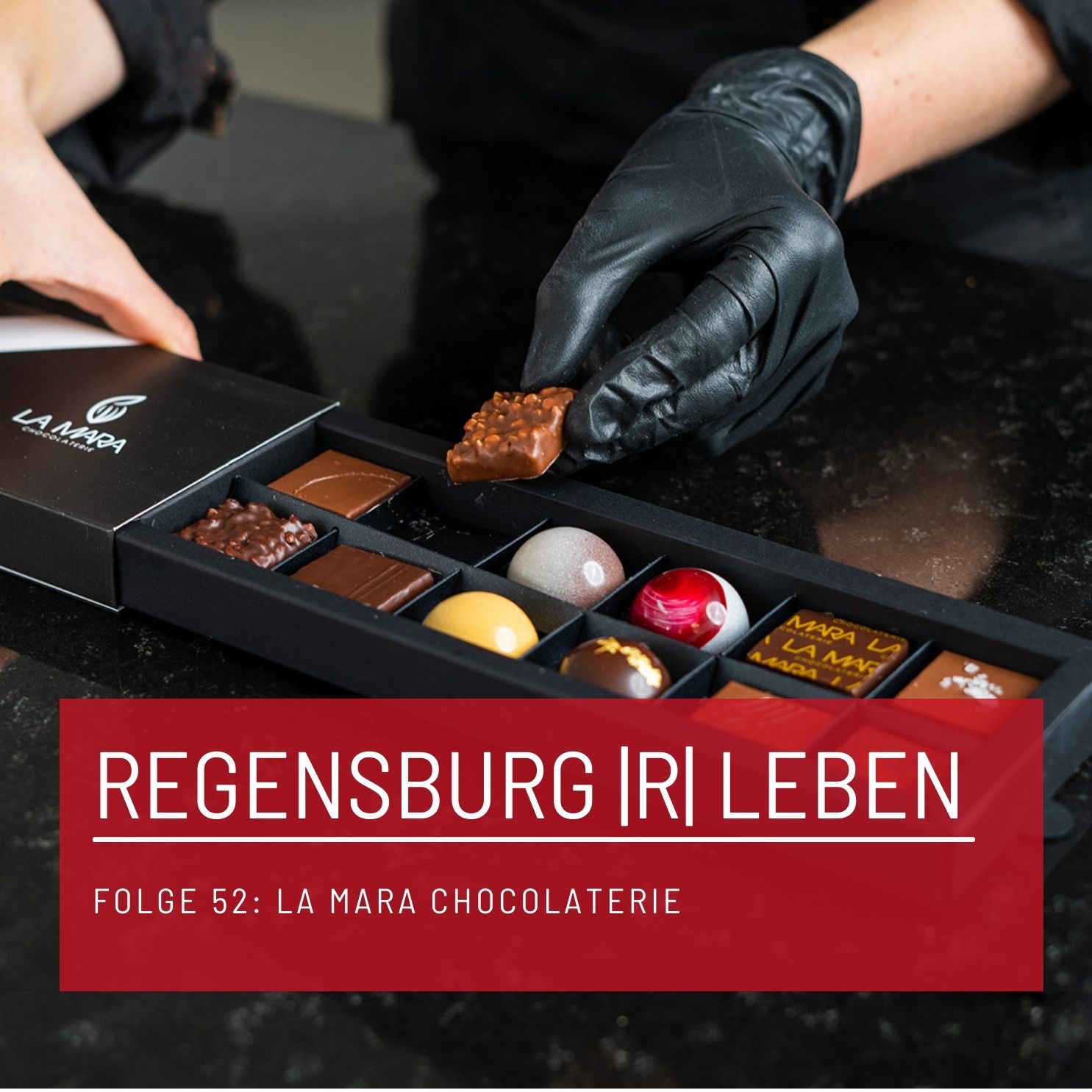 REGENSBURG |R| LEBEN