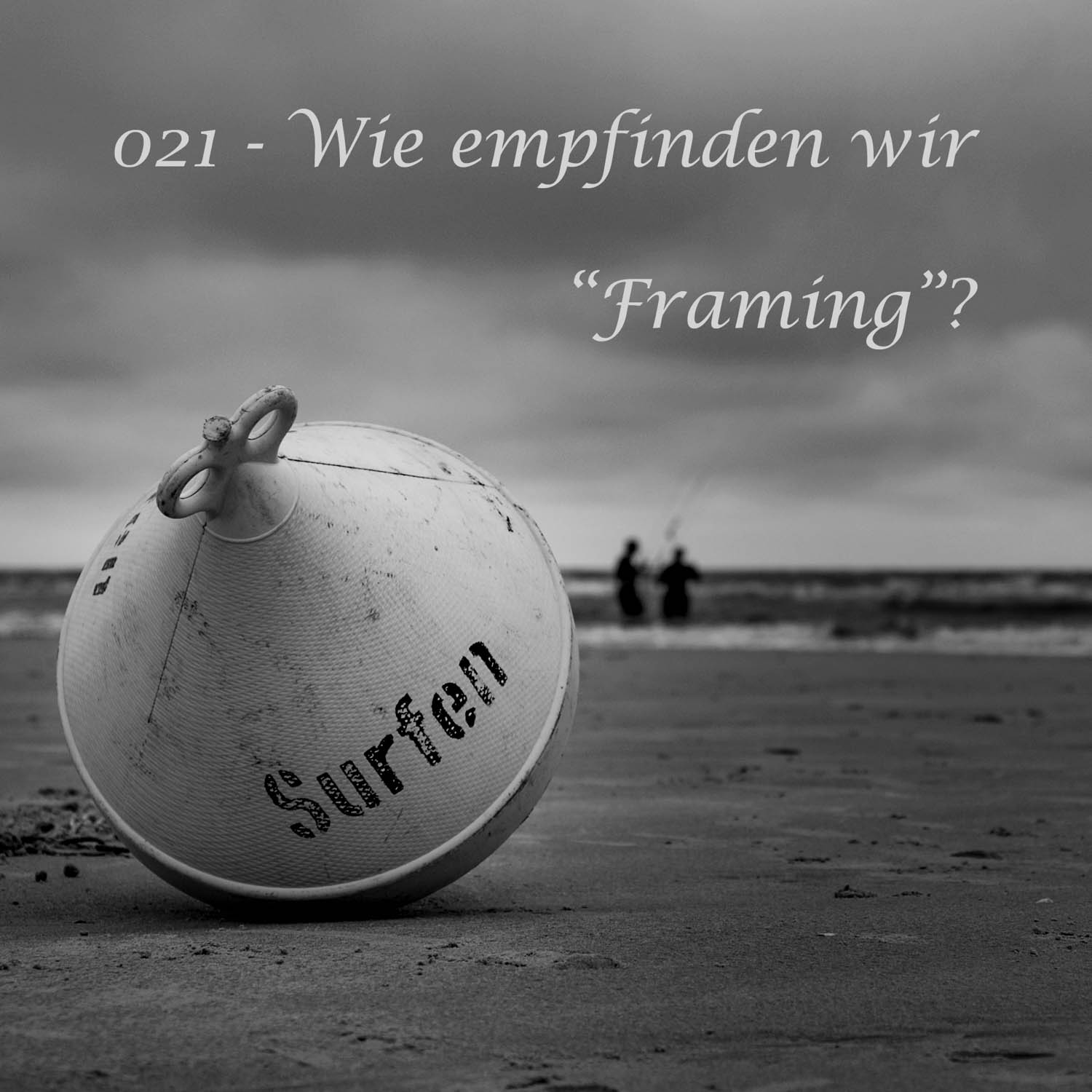 021 - Framing 021 - Framing