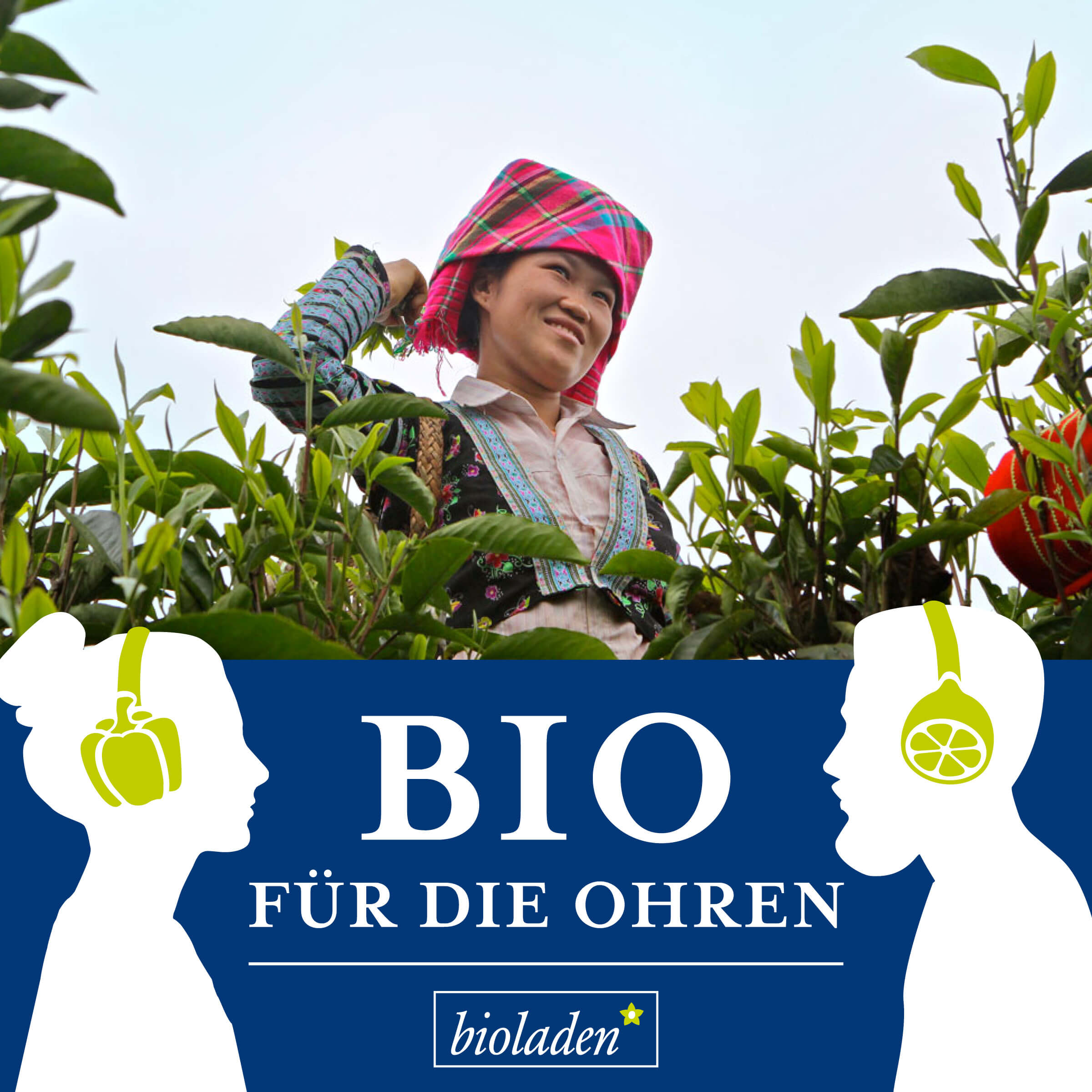 Bio für die Ohren