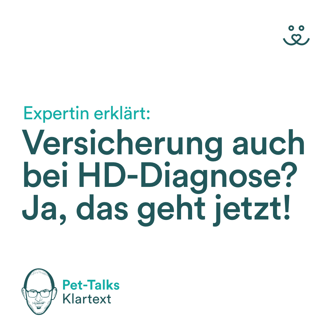 Pet-Talks: Klartext – der Interview-Podcast von DeineTierwelt