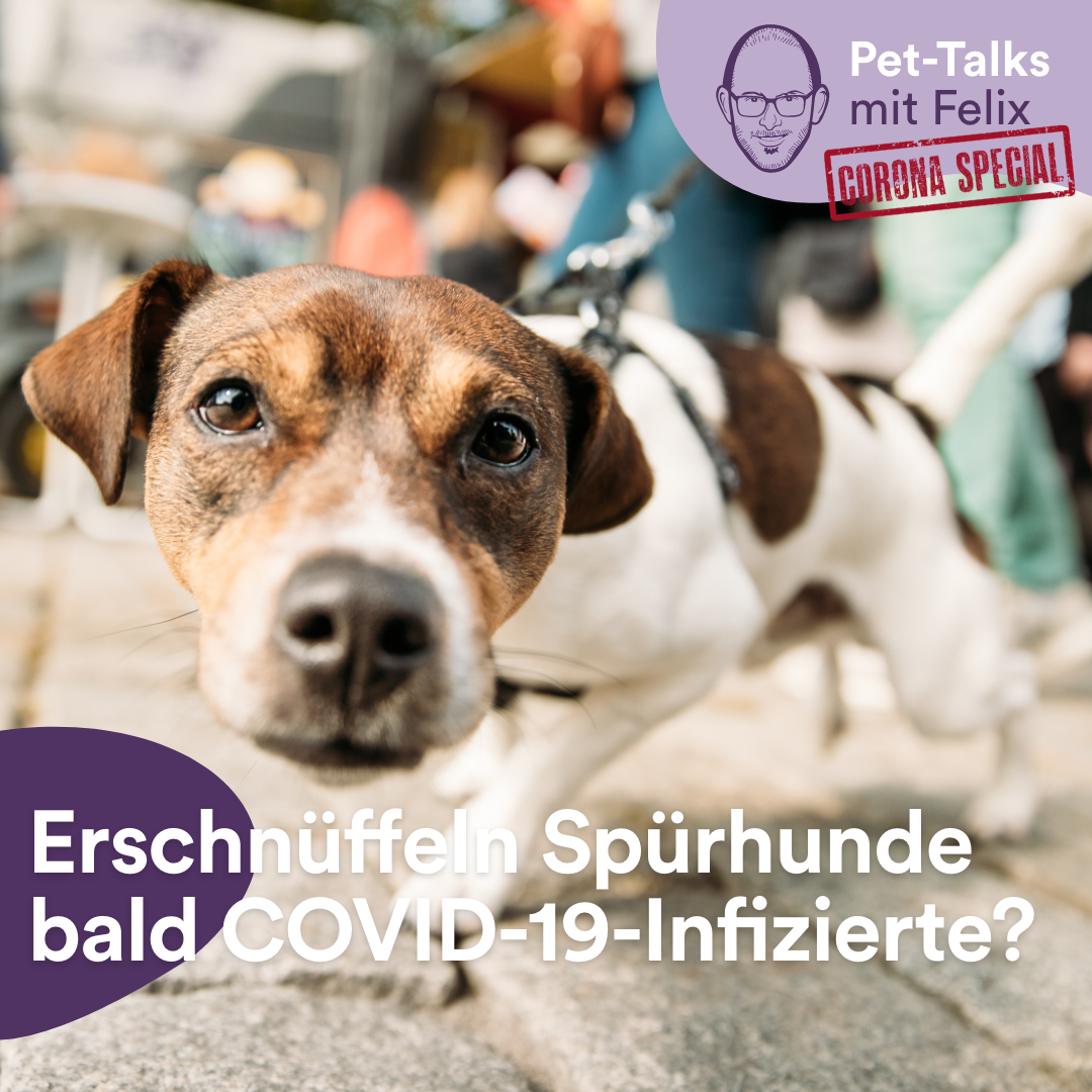 Pet-Talks: Klartext – der Interview-Podcast von DeineTierwelt