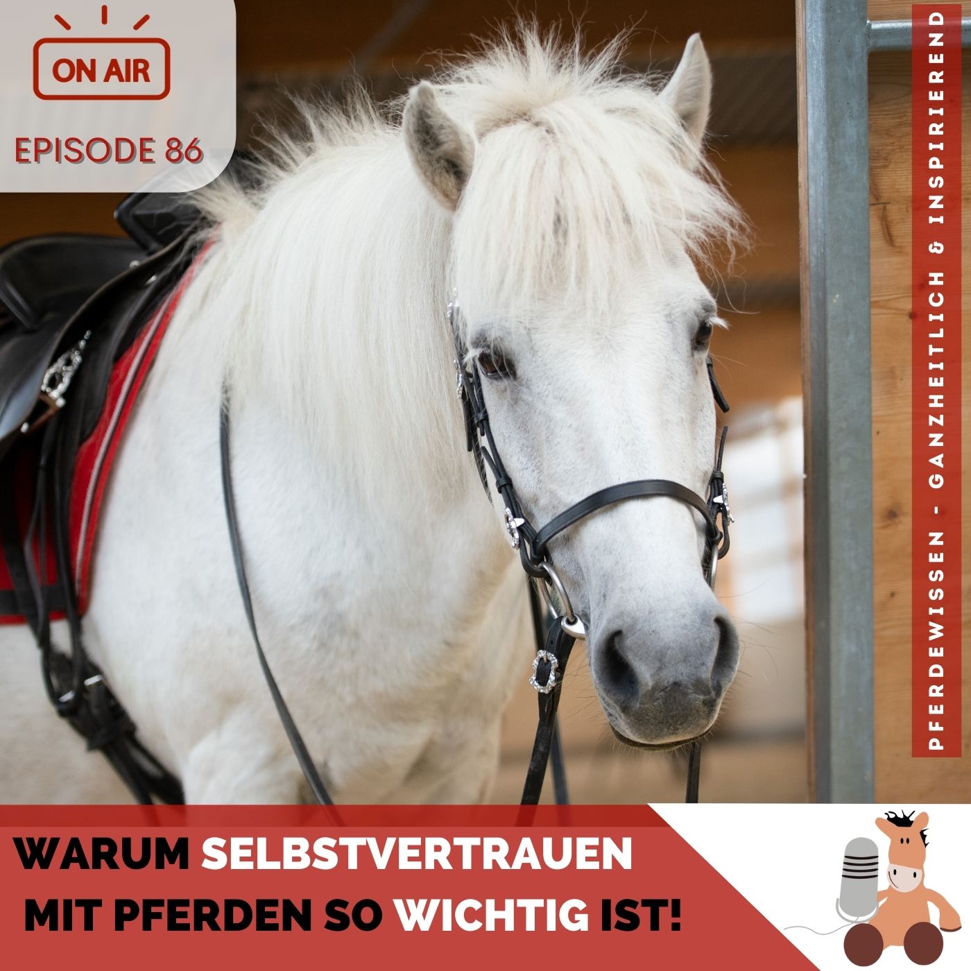 💪 Warum Selbstvertrauen mit Pferden so wichtig ist! episode artwork