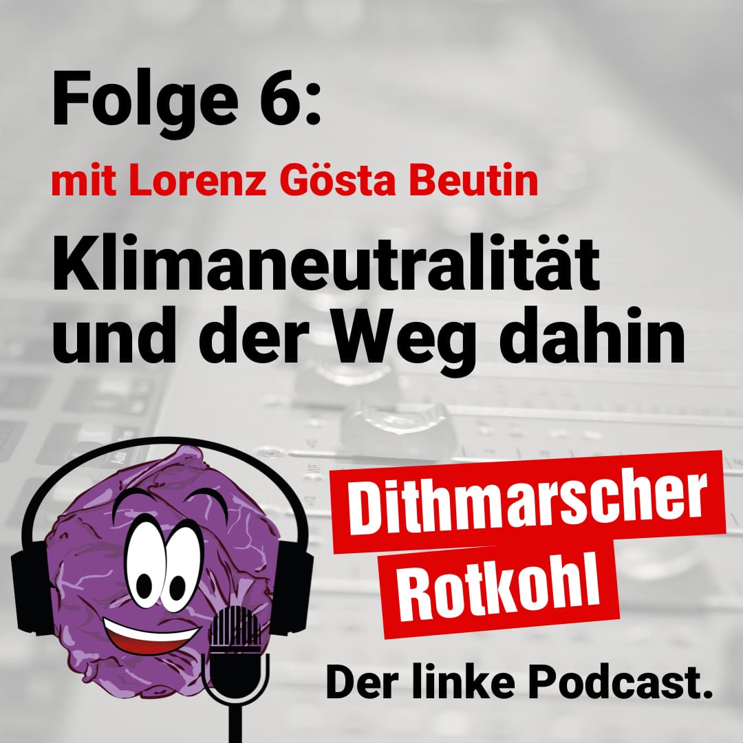 Klimaneutralität und den Weg dahin - mit Lorenz Gösta Beutin