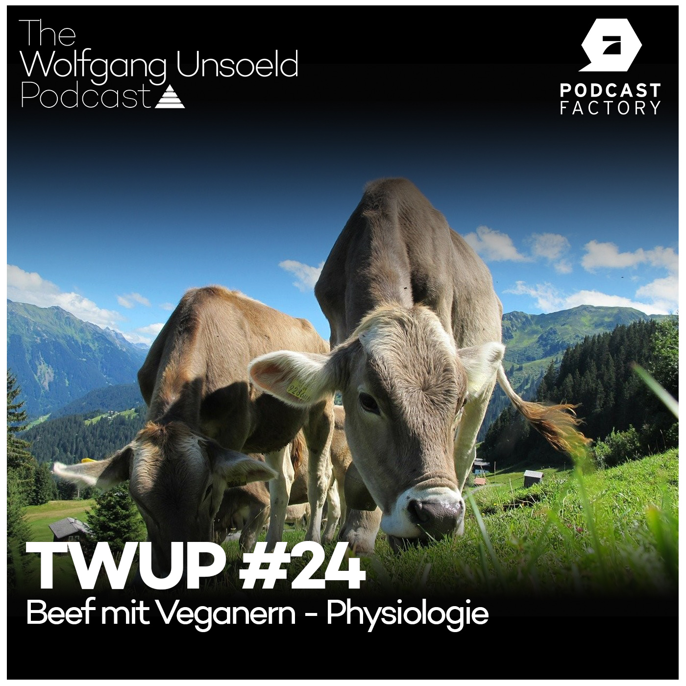 Therapie & Training Talk