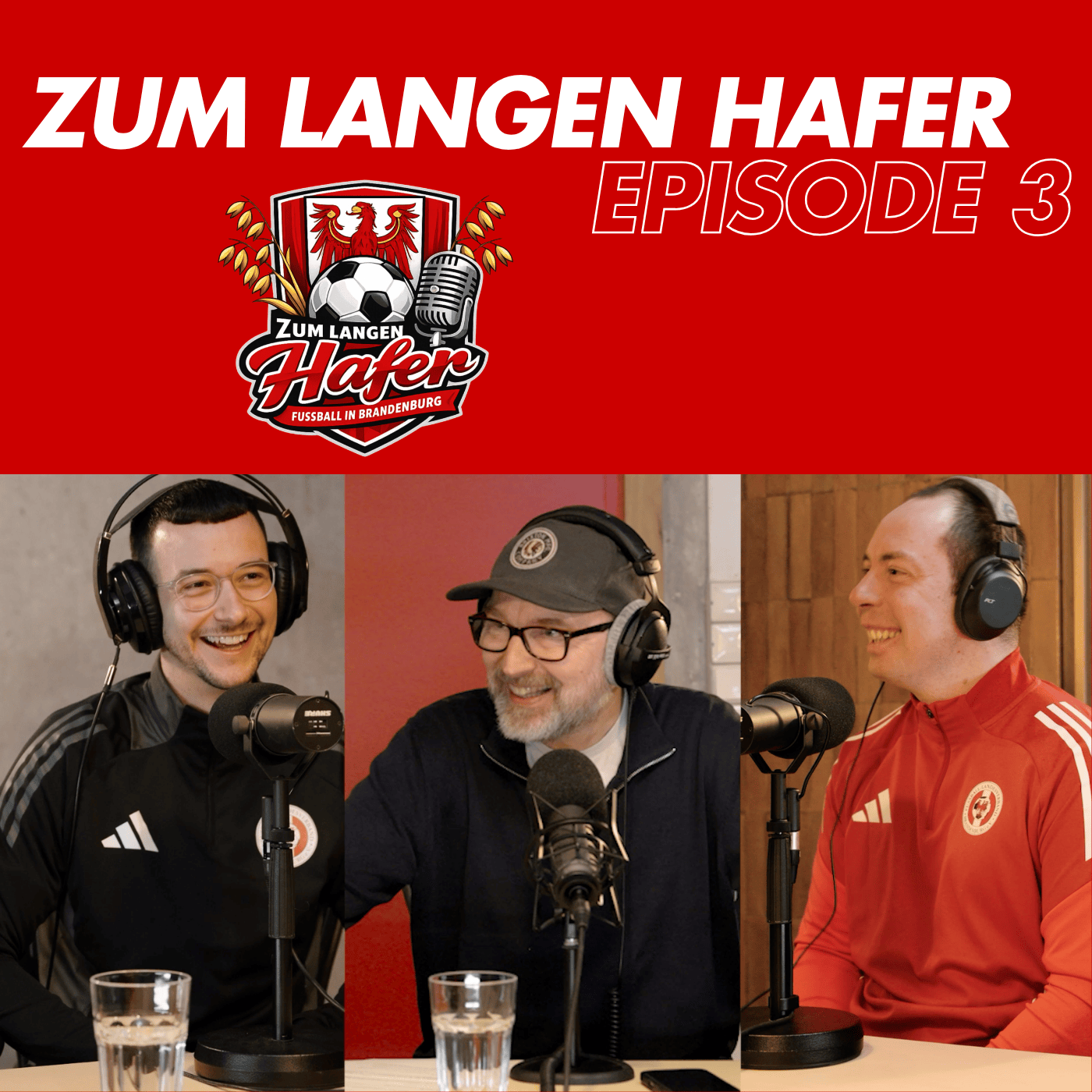 Zum Langen Hafer #3 – Was ein Tannenbaum mit Talentförderung zu tun hat