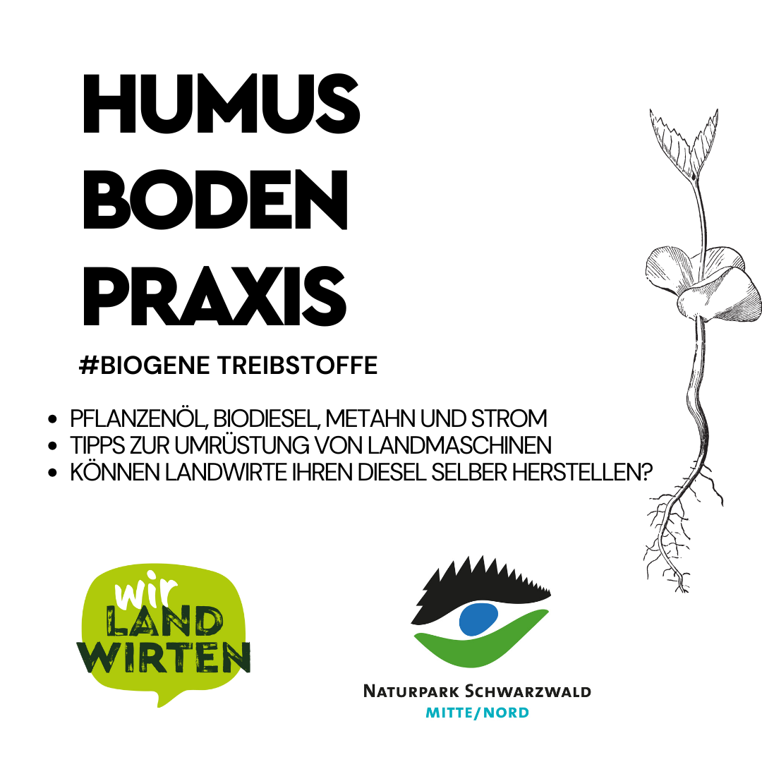 wirlandwirten Podcast