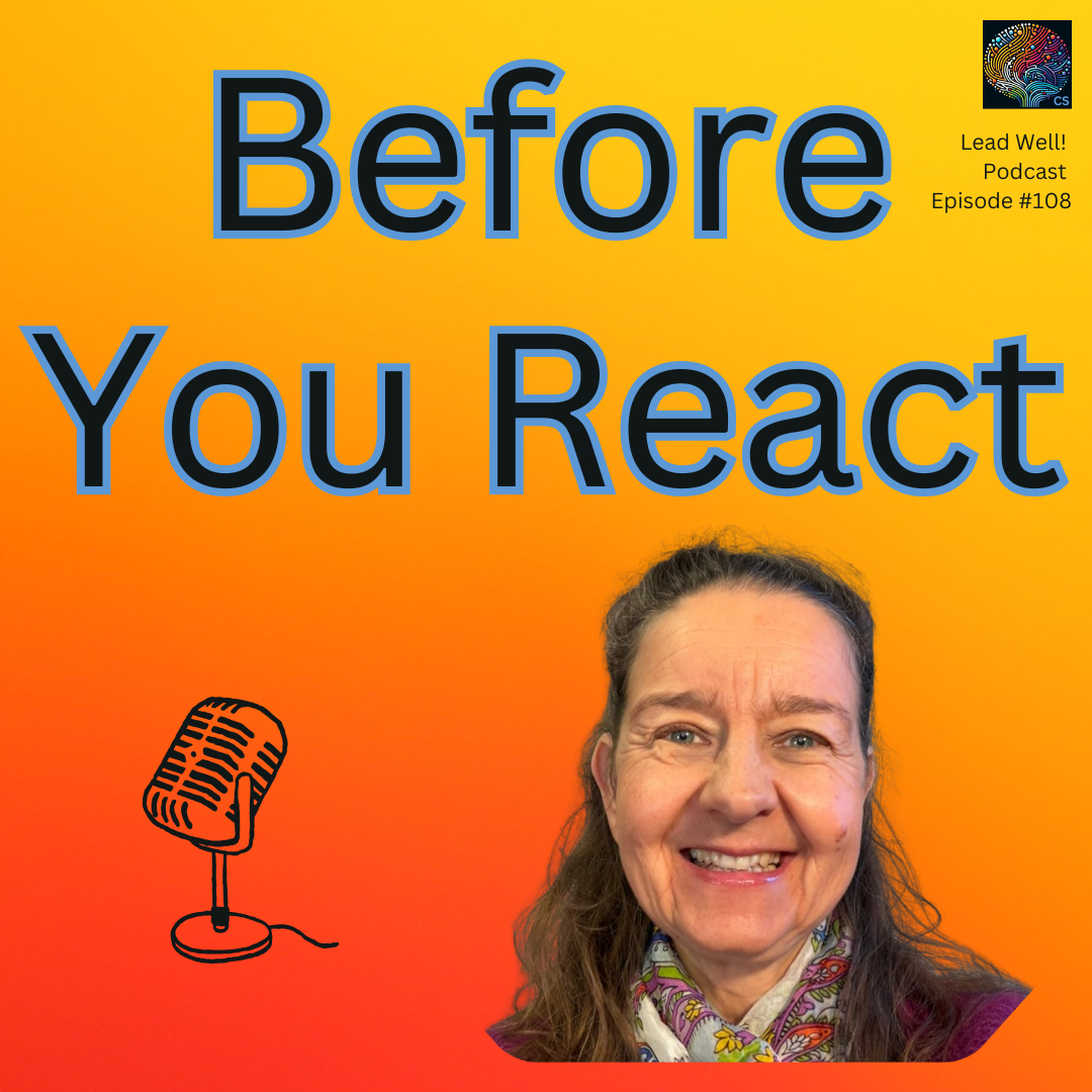 Lead Well! with Christine Schickinger