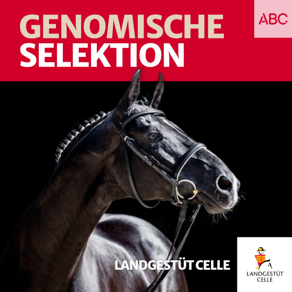 Landgestüt Celle - Der Podcast