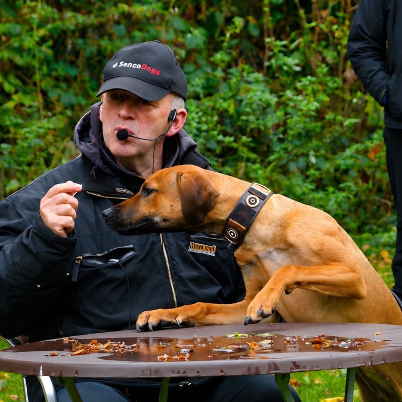SencoDogs. Wie alles begann | Teil 1 episode artwork