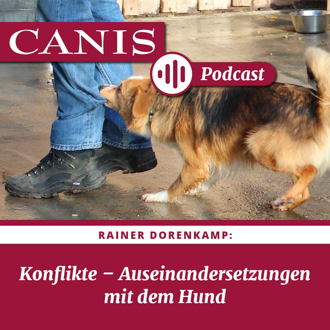 Der CANIS-Podcast – Hundeexpert:innen ausgefragt
