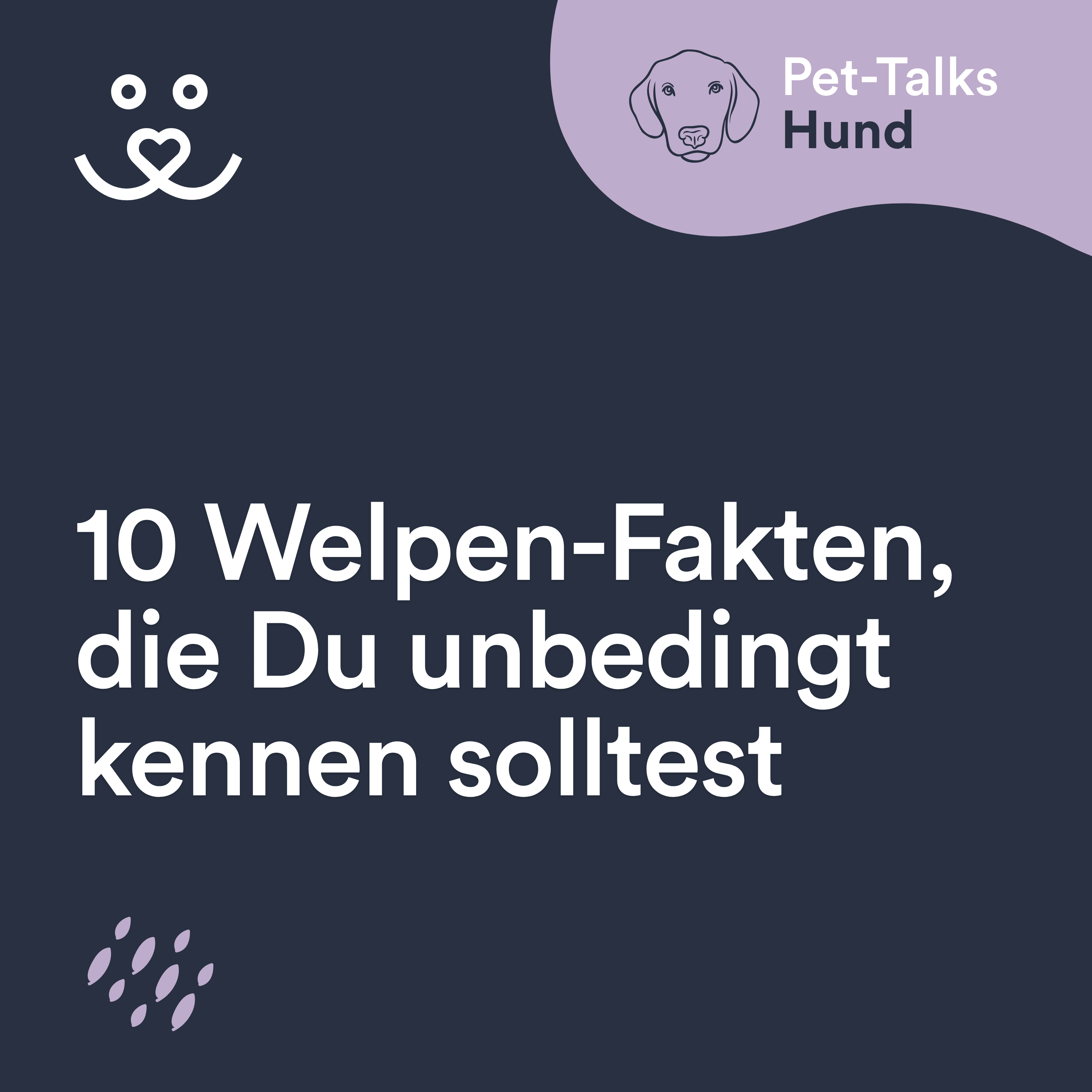 Pet-Talks: Hund – der Ratgeber-Podcast von DeineTierwelt