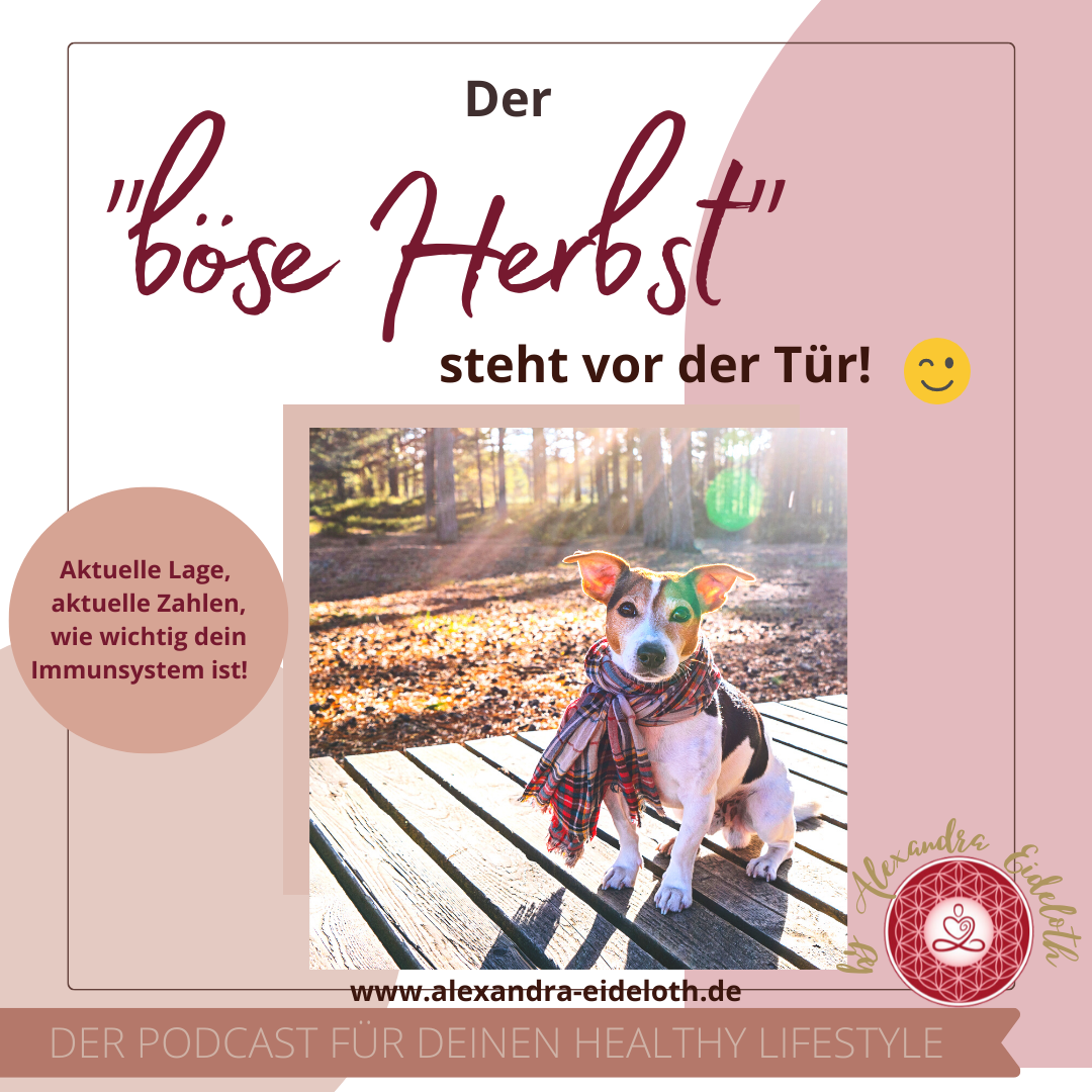 Deine Gesundheit ist Deine Entscheidung - Dein Podcast für Deinen Healthy Lifestyle!