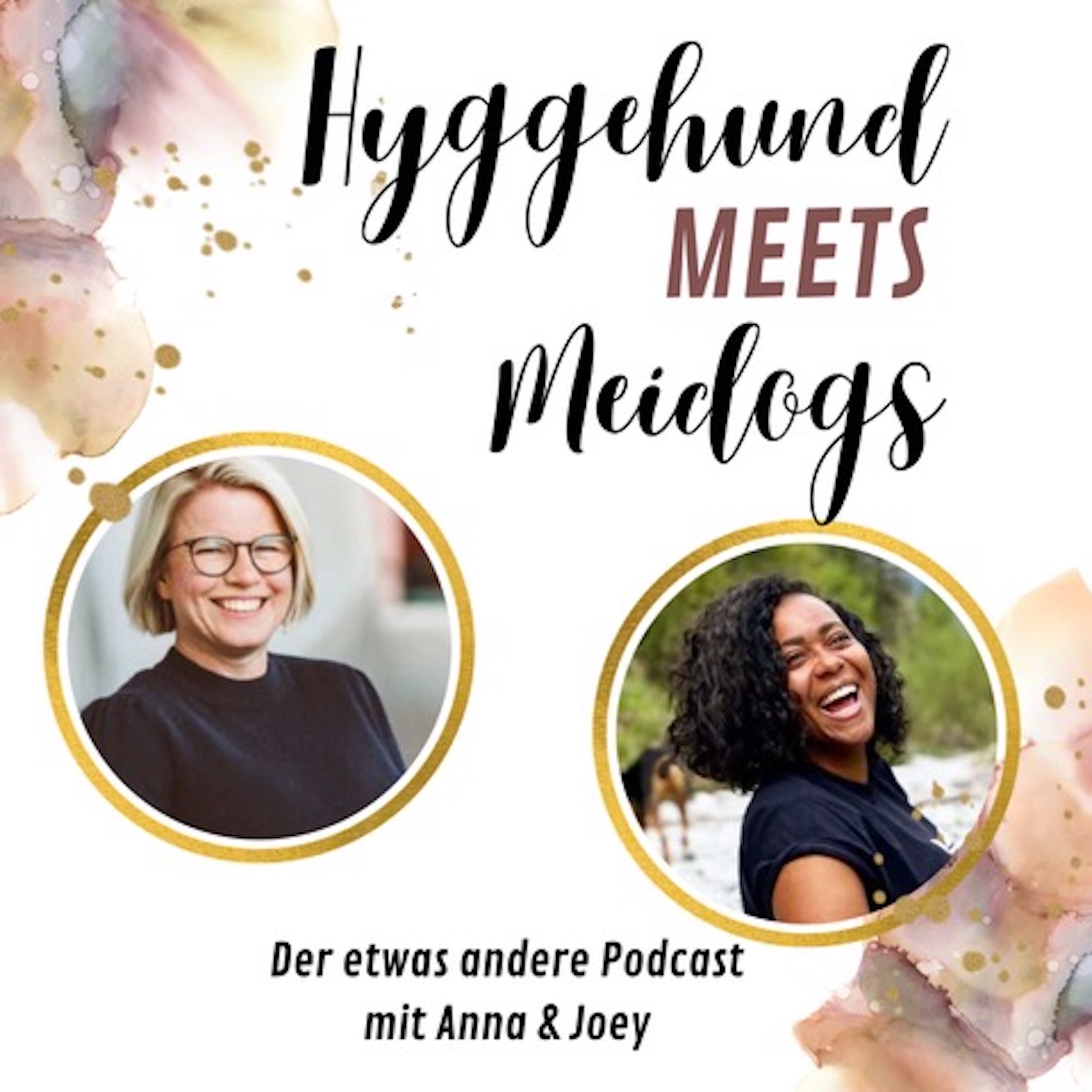 Hyggehund meets Meidogs