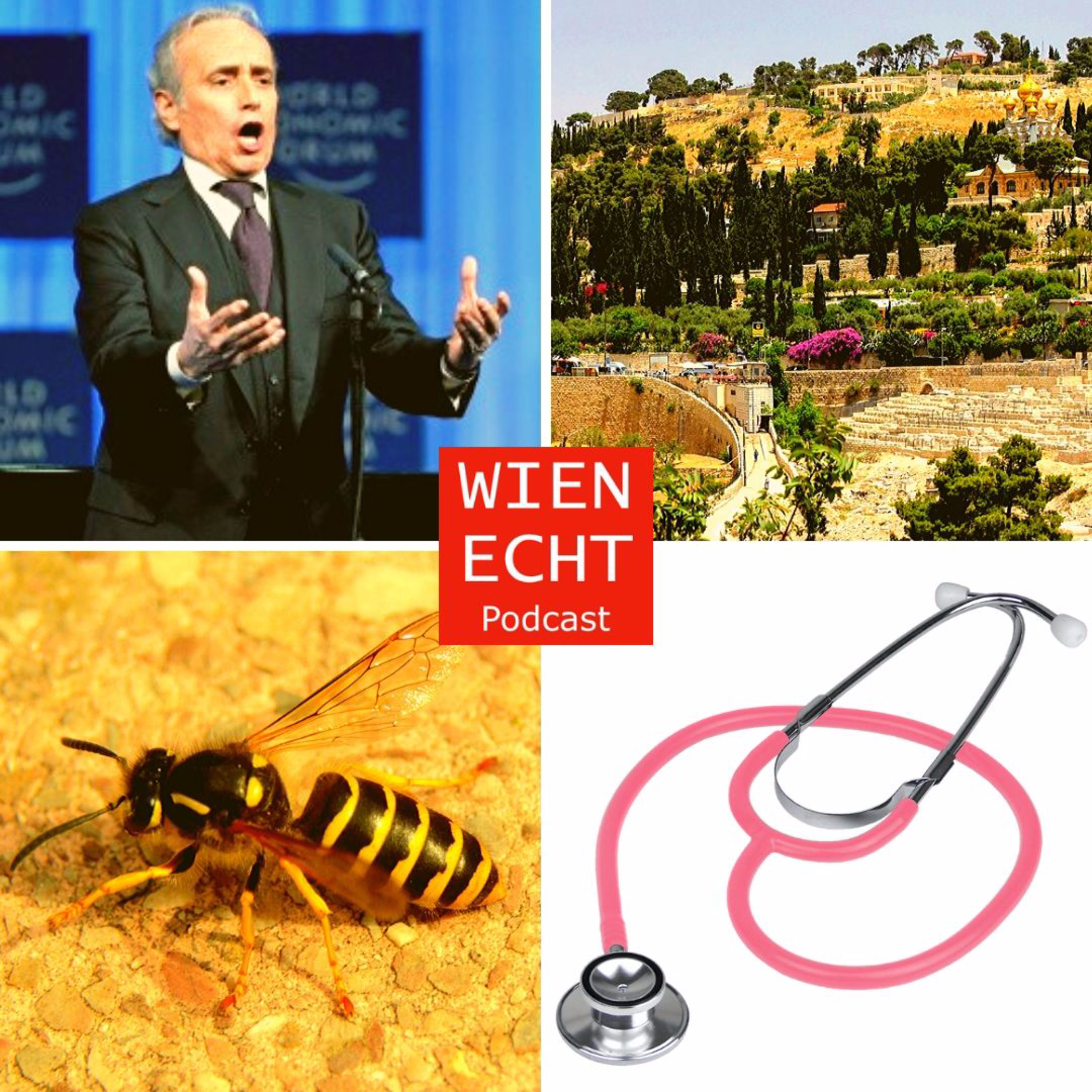 Wien echt