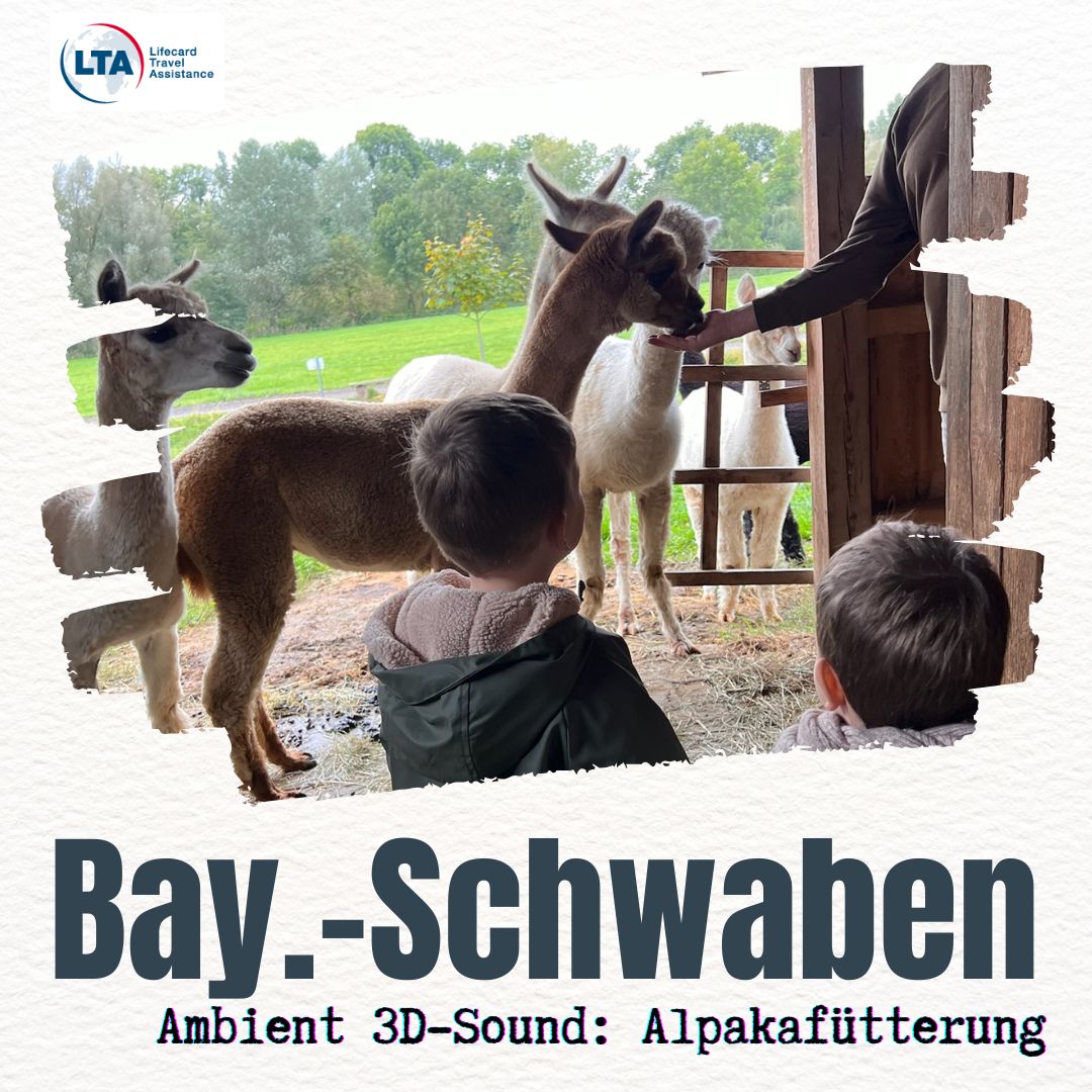 Lieblingsreisen - Mikroabenteuer und die weite Welt