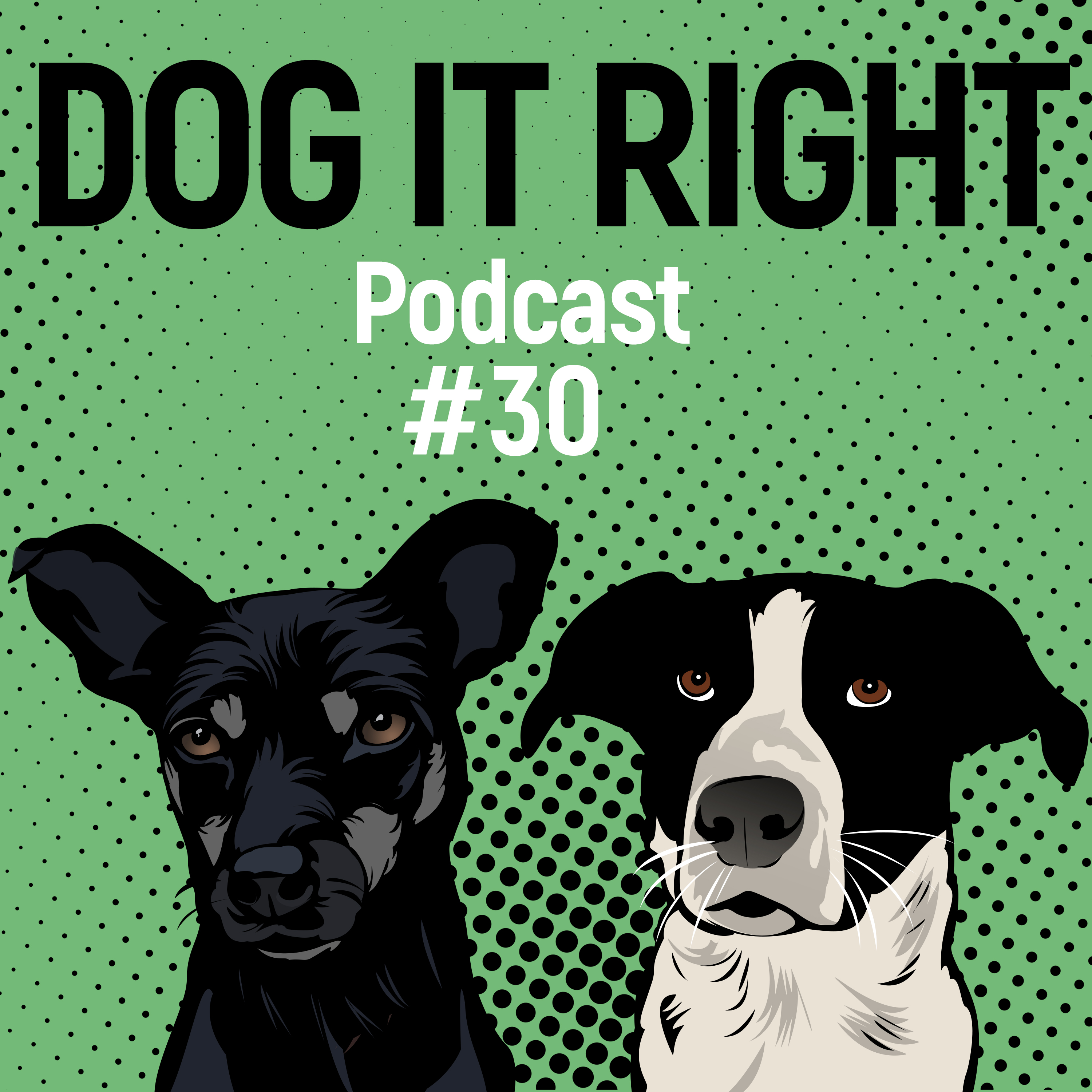 Dog It Right | Der Podcast für Hundemenschen