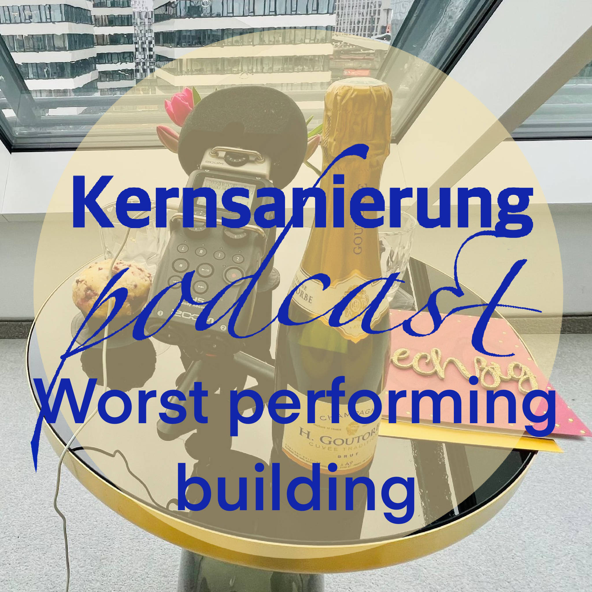 Kernsanierung - ein Podcast zu Paarung und Nestbau