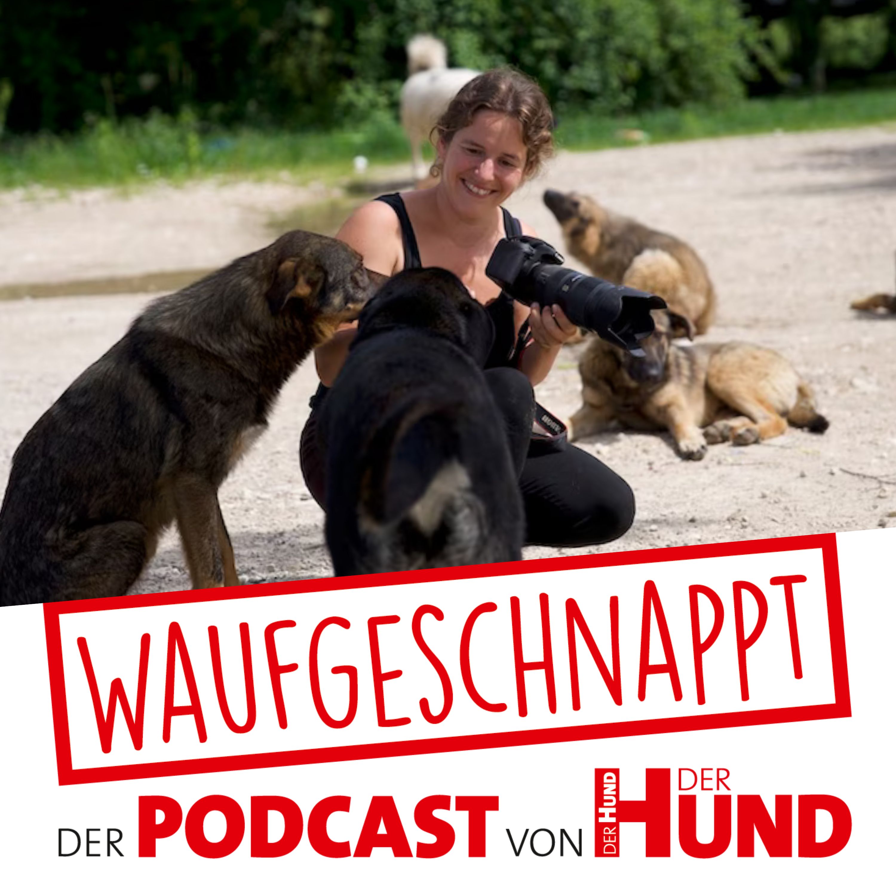 Waufgeschnappt - der Podcast von DER HUND