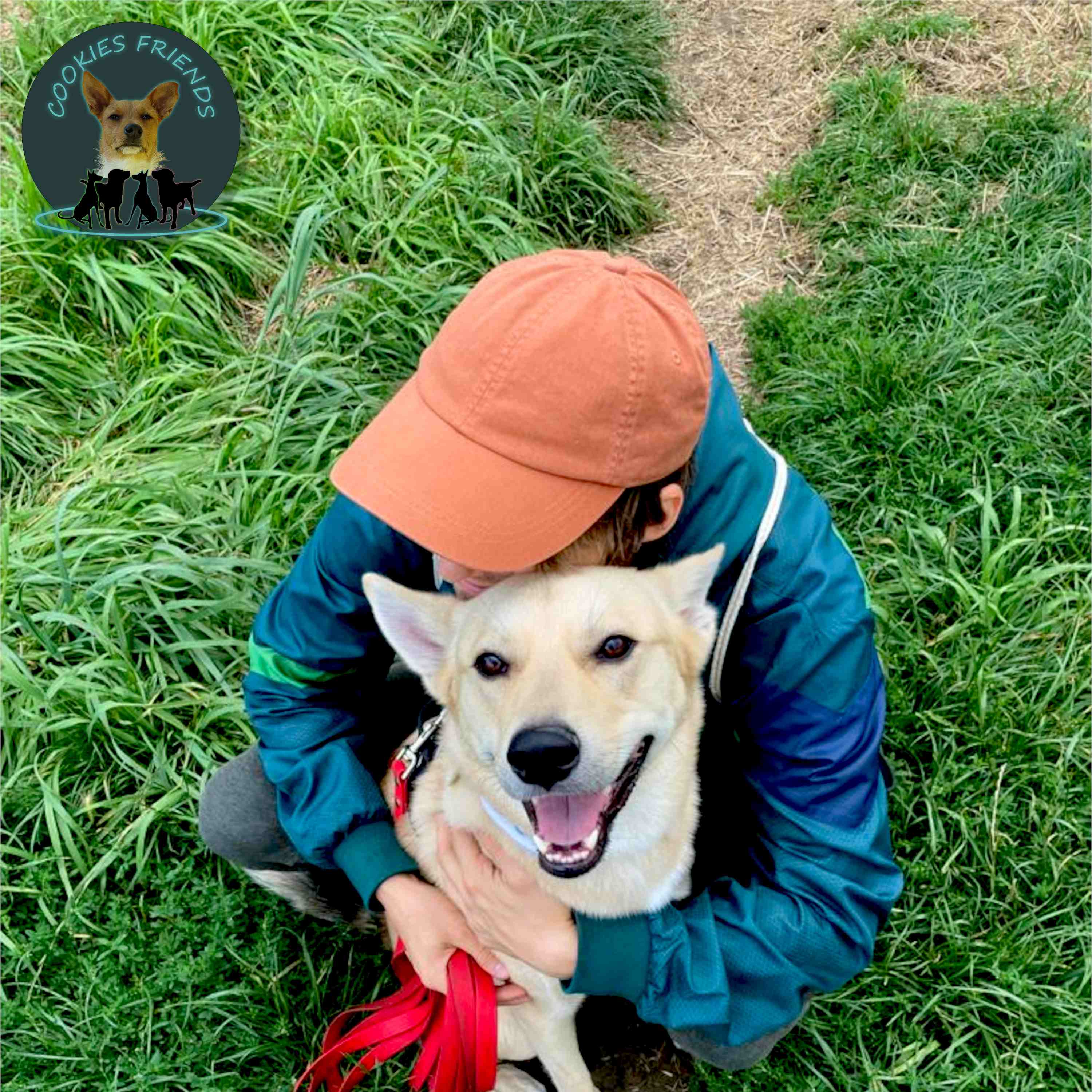 Cookies Friends. Der Podcast für Tierschutz-Hunde