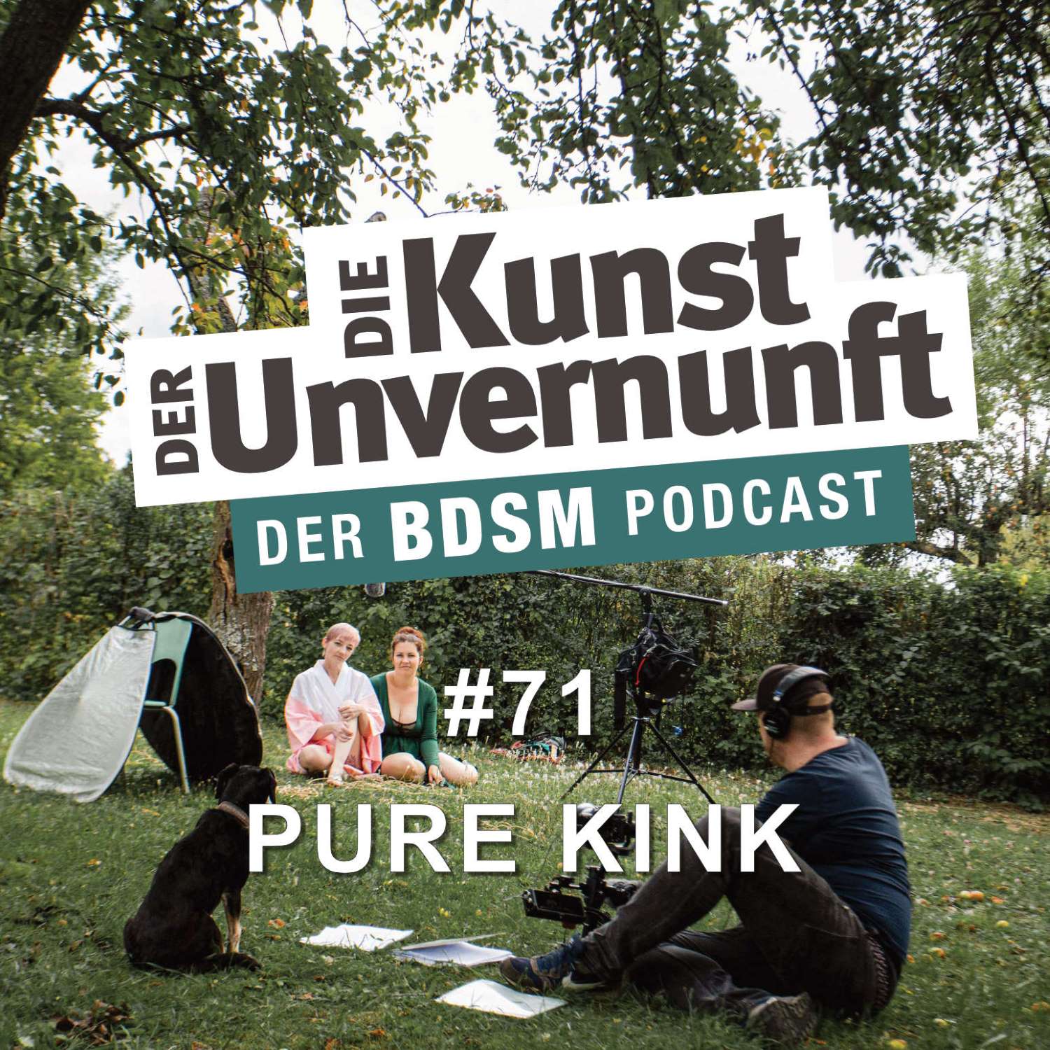 BDSM - Die Kunst der Unvernunft
